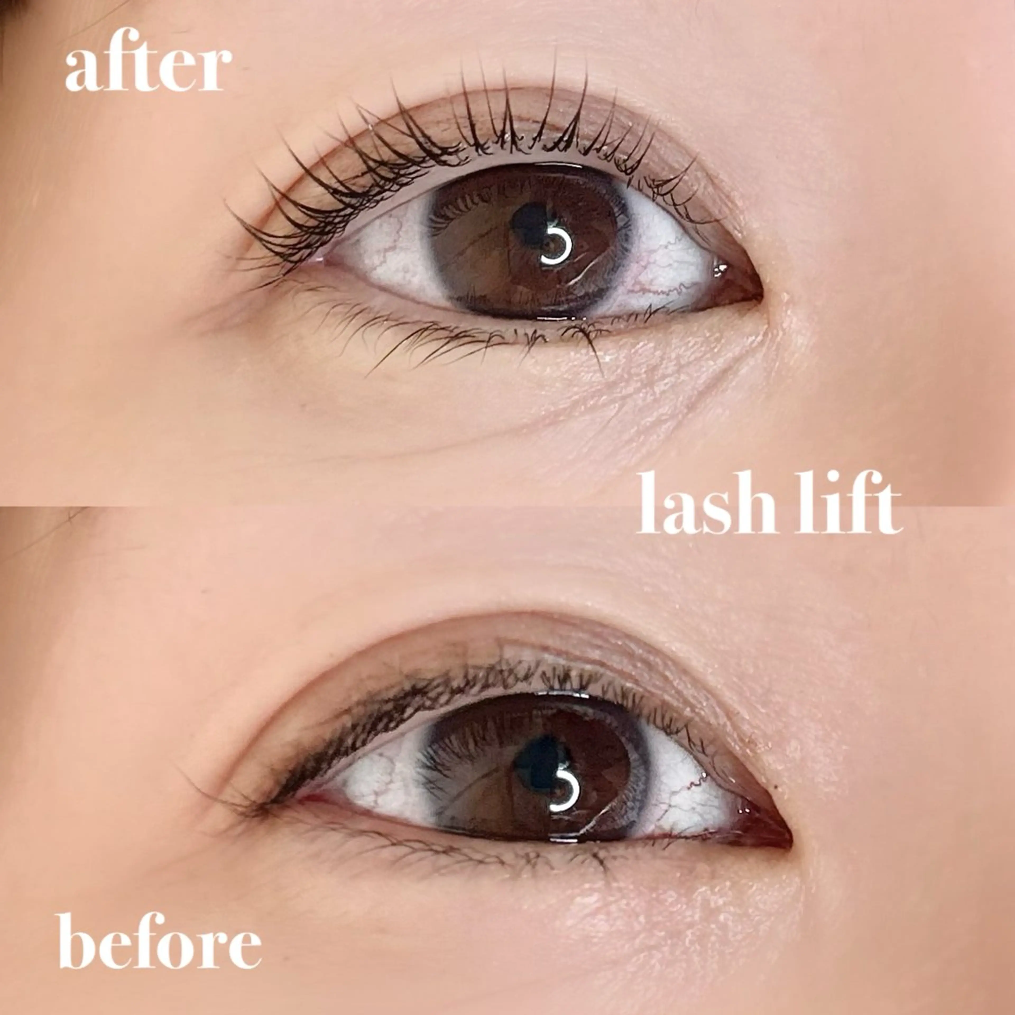 マツエク・マツパ まつげパーマ マツパ elua eyelash所属・elua eyelashのマツエク・マツパデザイン