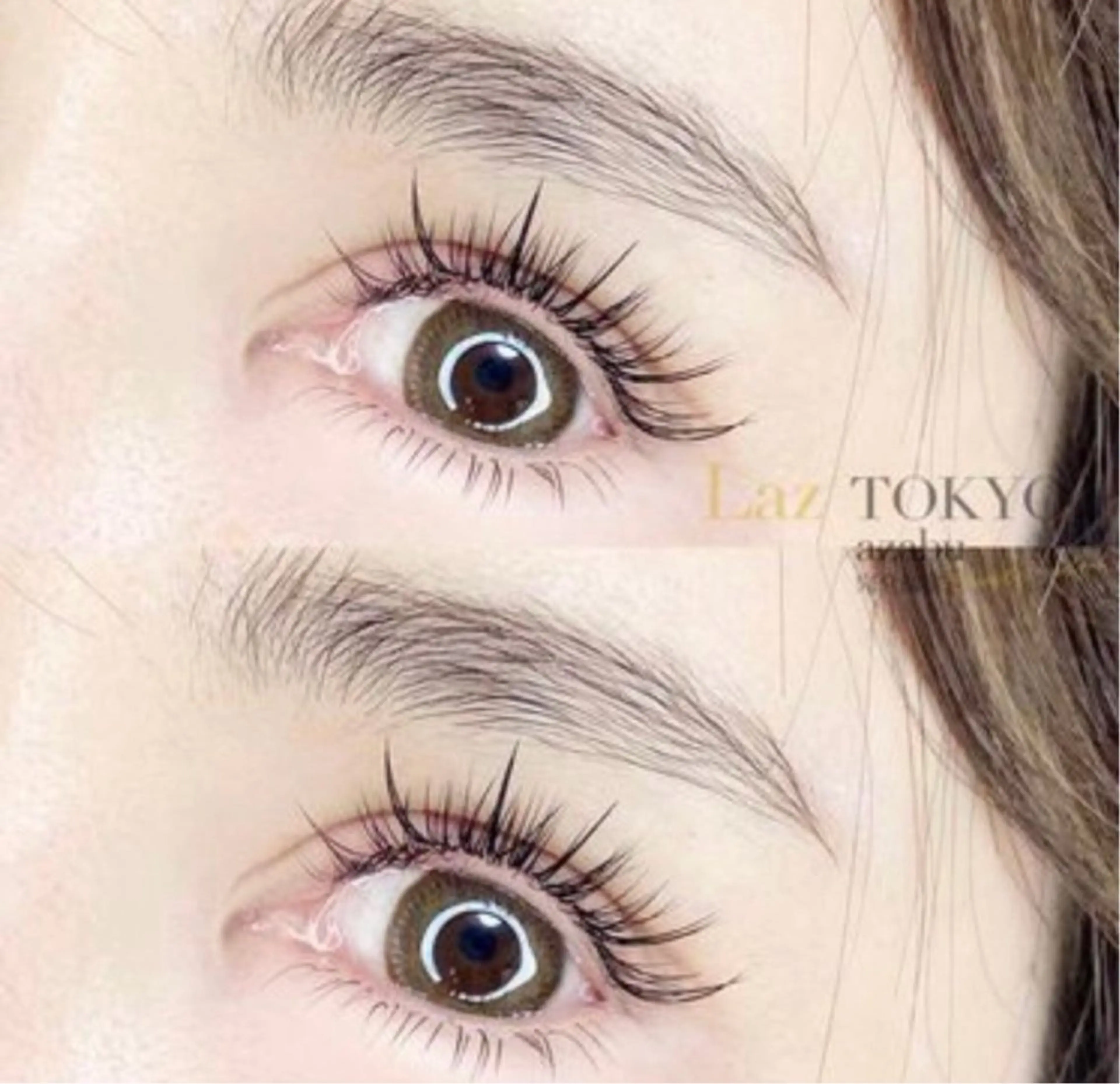 🐼#ワンホン#網紅マツエクデザイン 120本まで🇨🇳】限定！#網紅※本数変更可能︎💕︎の写真