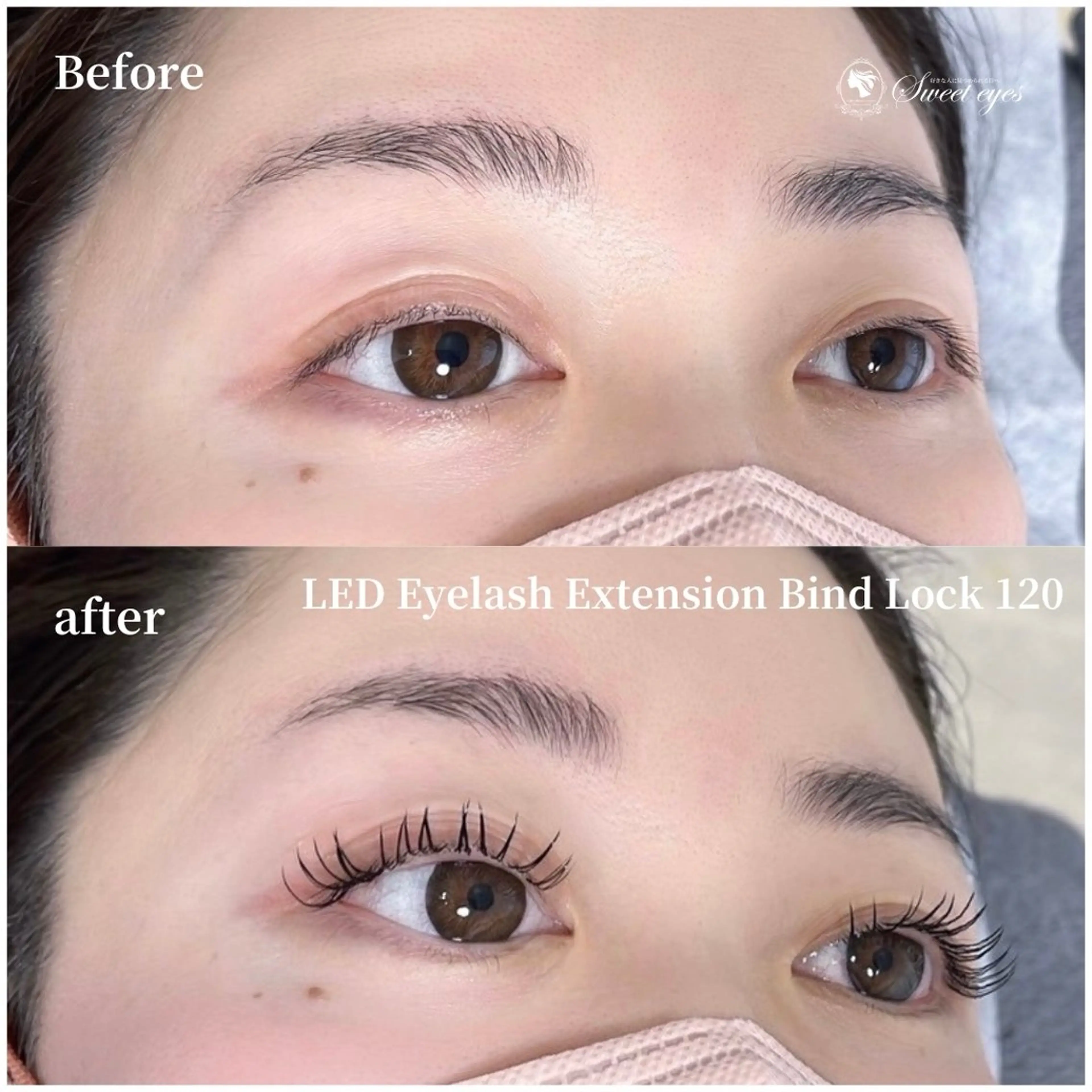 ☆人気No. 1☆【持続力 No.1】LEDバインドロック120束  アイシャン・オフ付き15,700→8,690円の写真