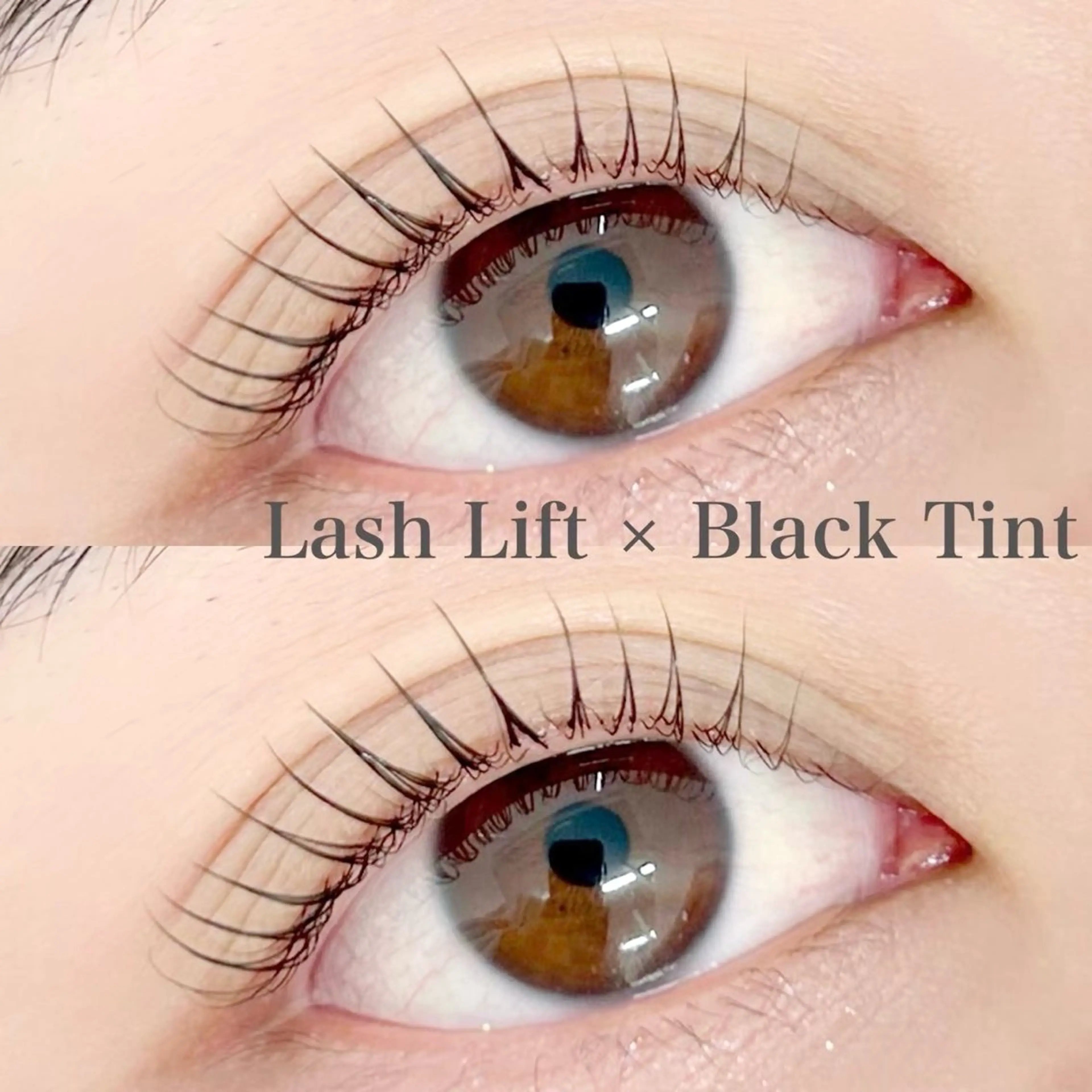 マツエク・マツパ マツパ アトリエFAM所属・アイラッシュ アトリエFAMのマツエク・マツパデザイン