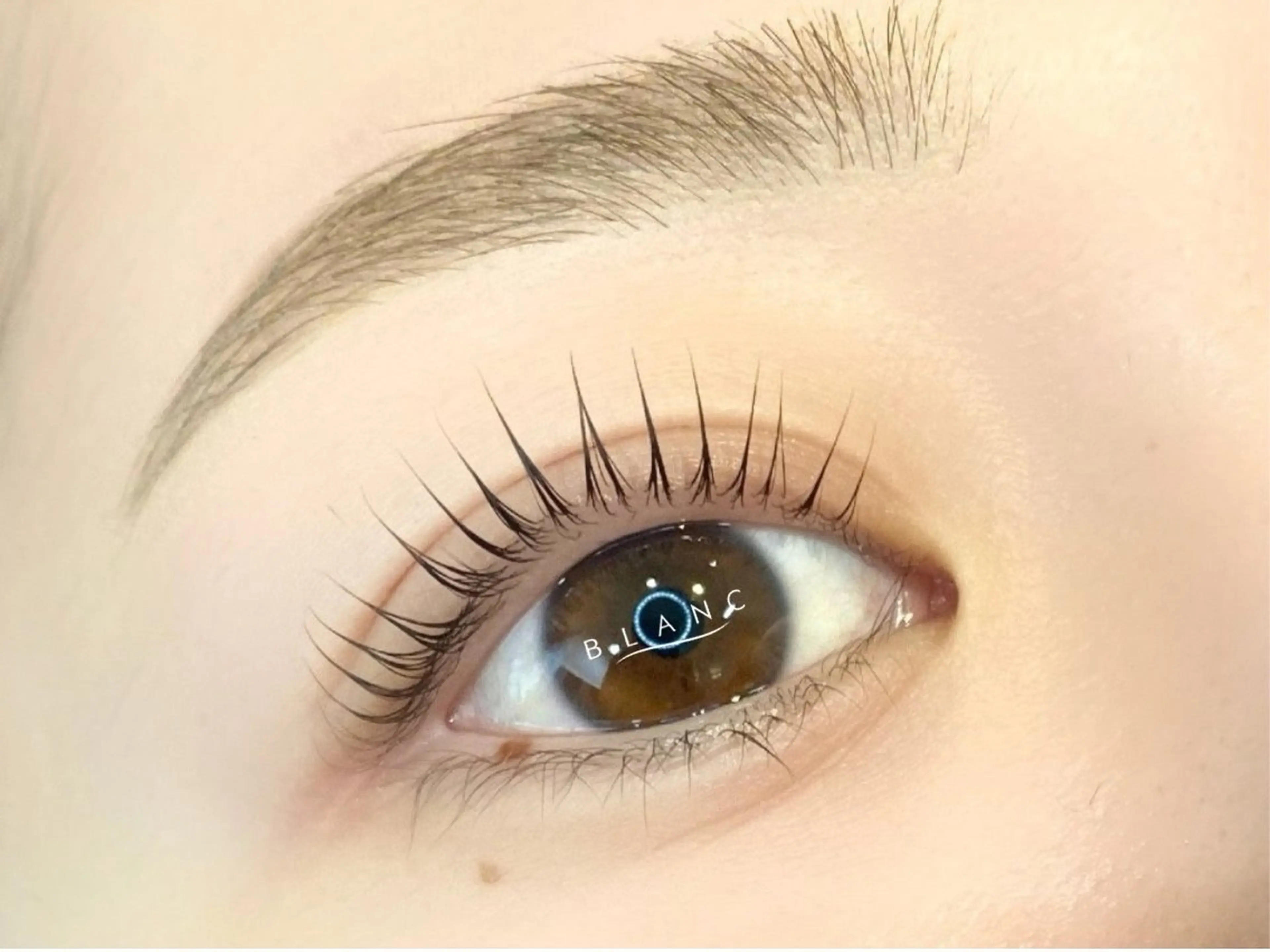 ✨まつ毛パーマ&美眉スタイリングWAX✨〈セット〉の写真