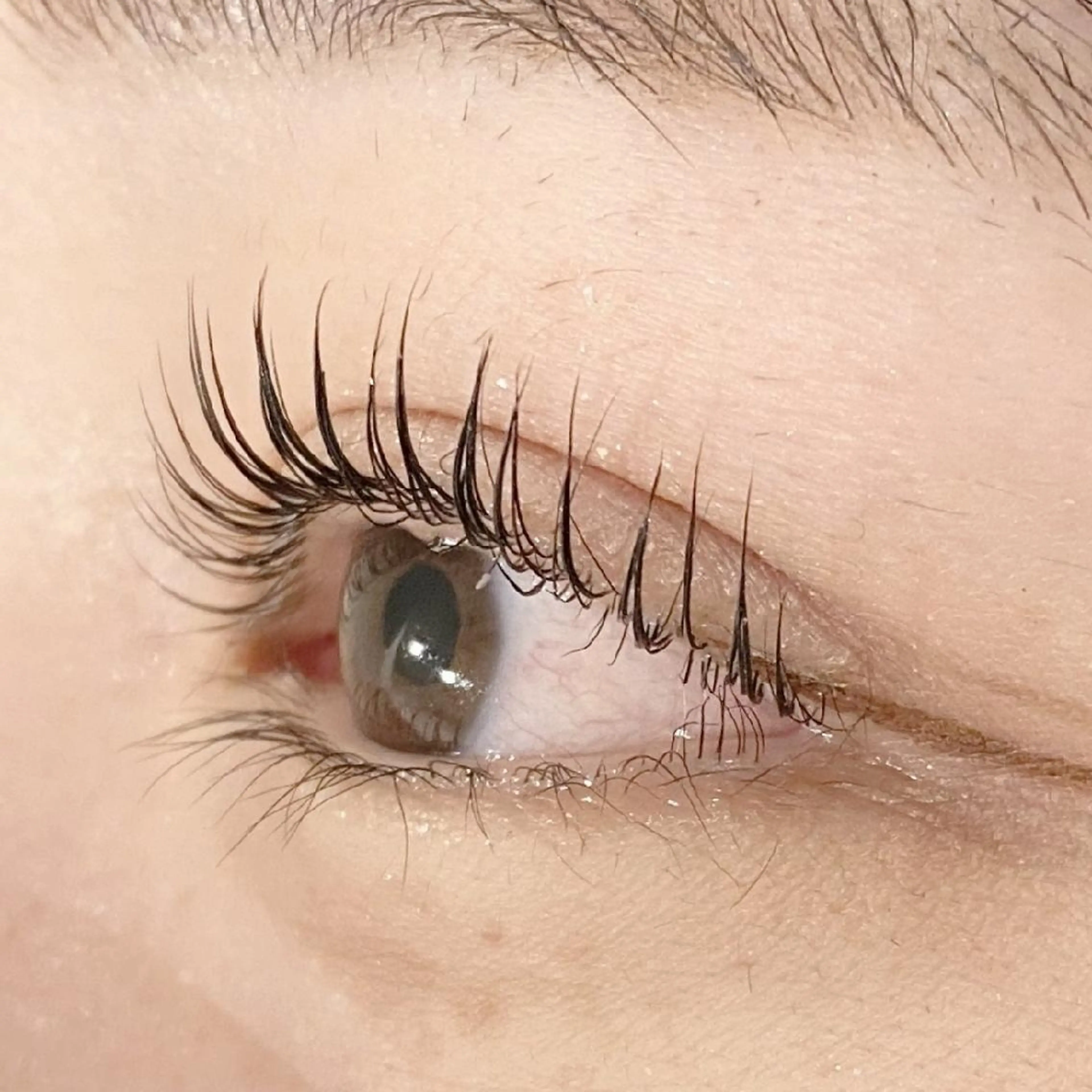 マツエク・マツパ パリジェンヌラッシュリフト ESCOS🌷 MURAKAMIのマツエク・マツパデザイン