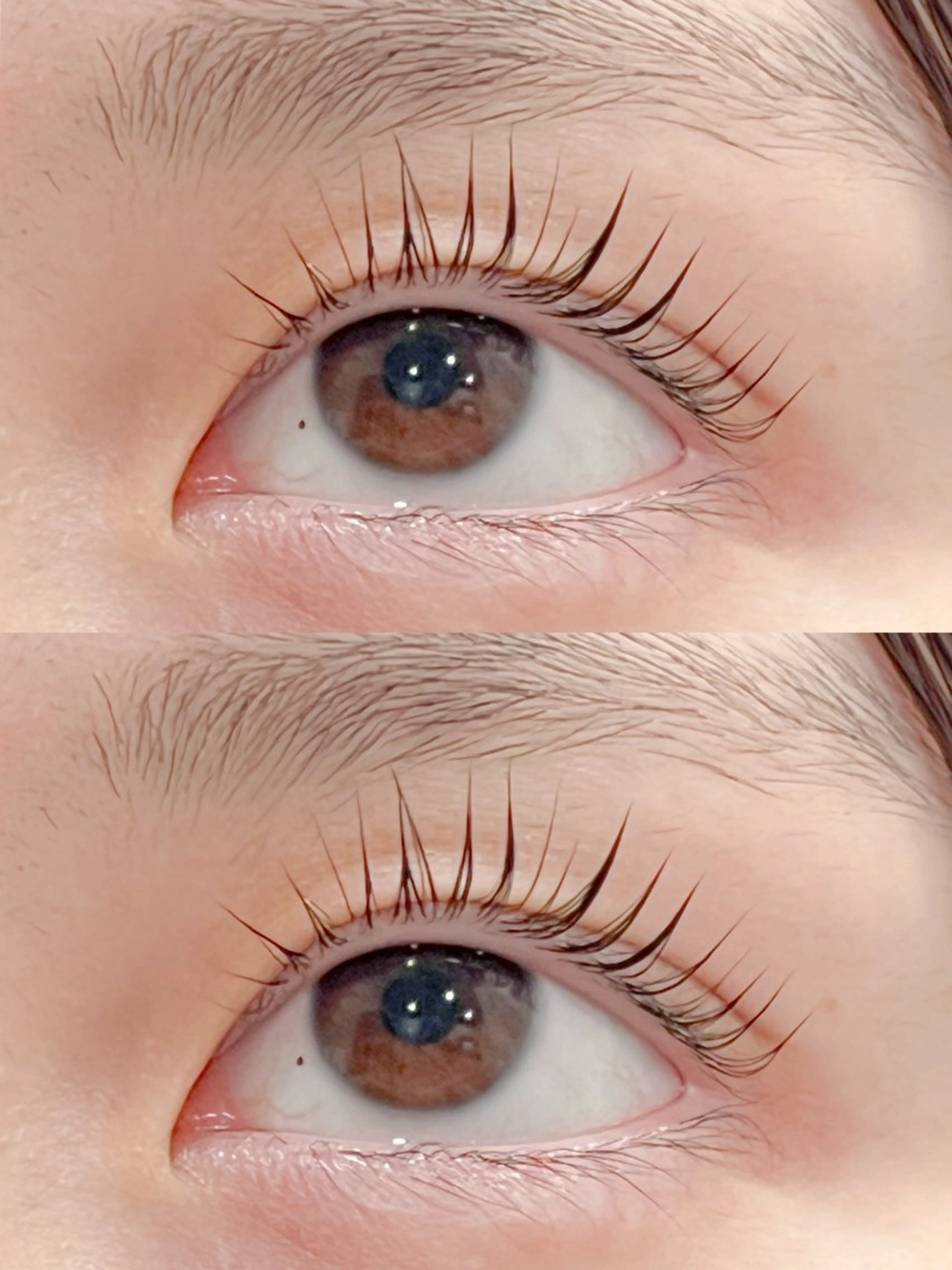 マツエク・マツパ 韓国風マツエク 一重×まつ毛パーマ Belle fee 根本のマツエク・マツパデザイン