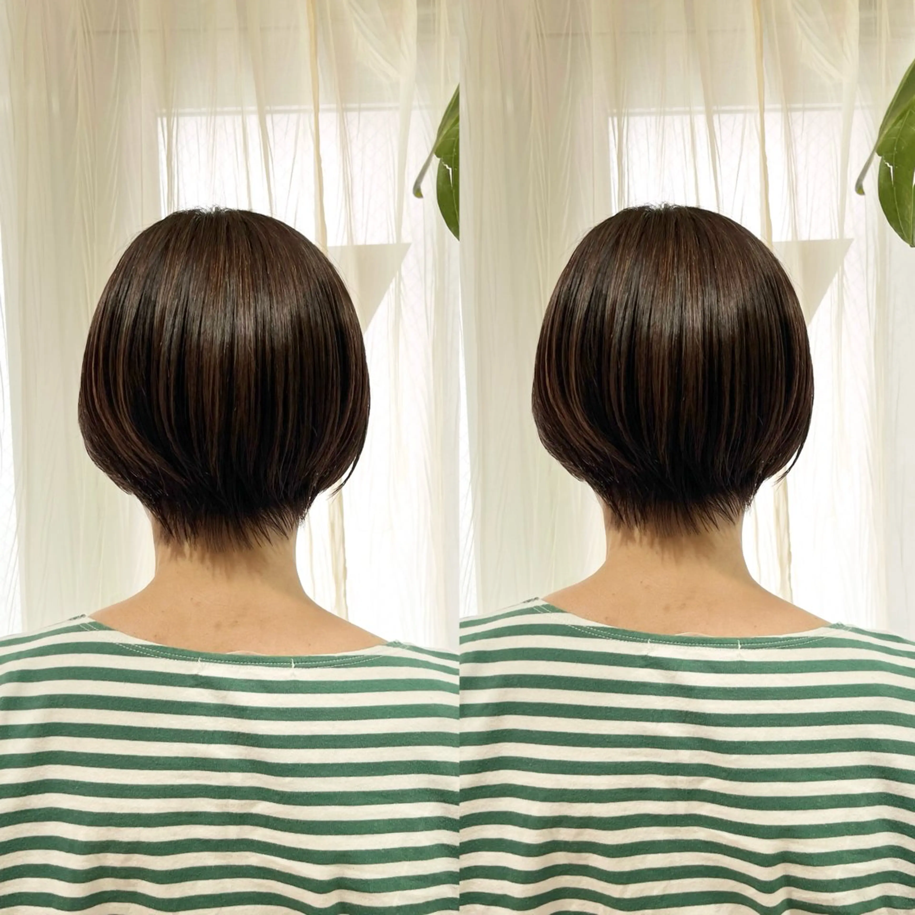 ショート カット 池谷 茉耶のヘアスタイル