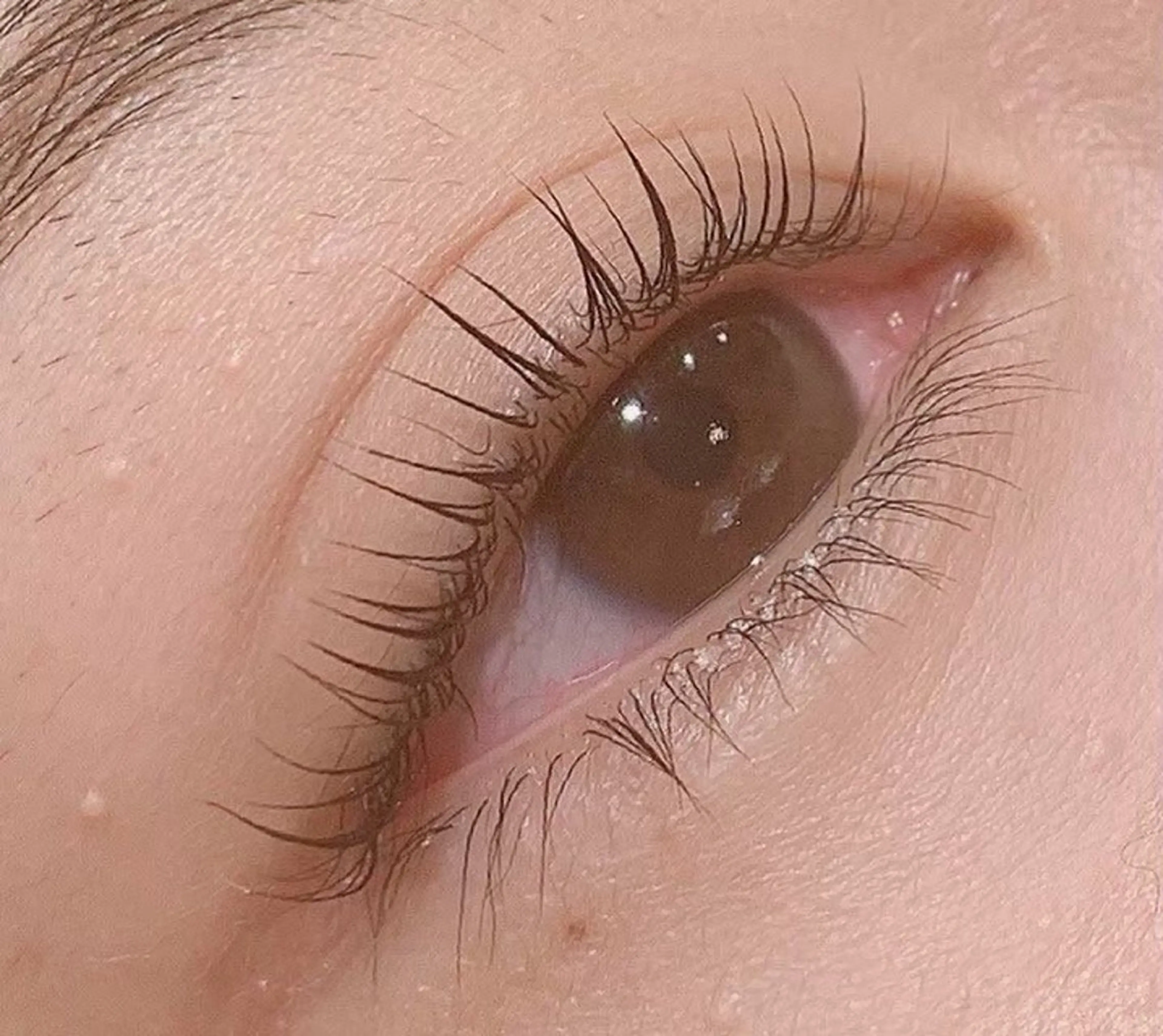 Uカール 【まつエクオフなし】の写真