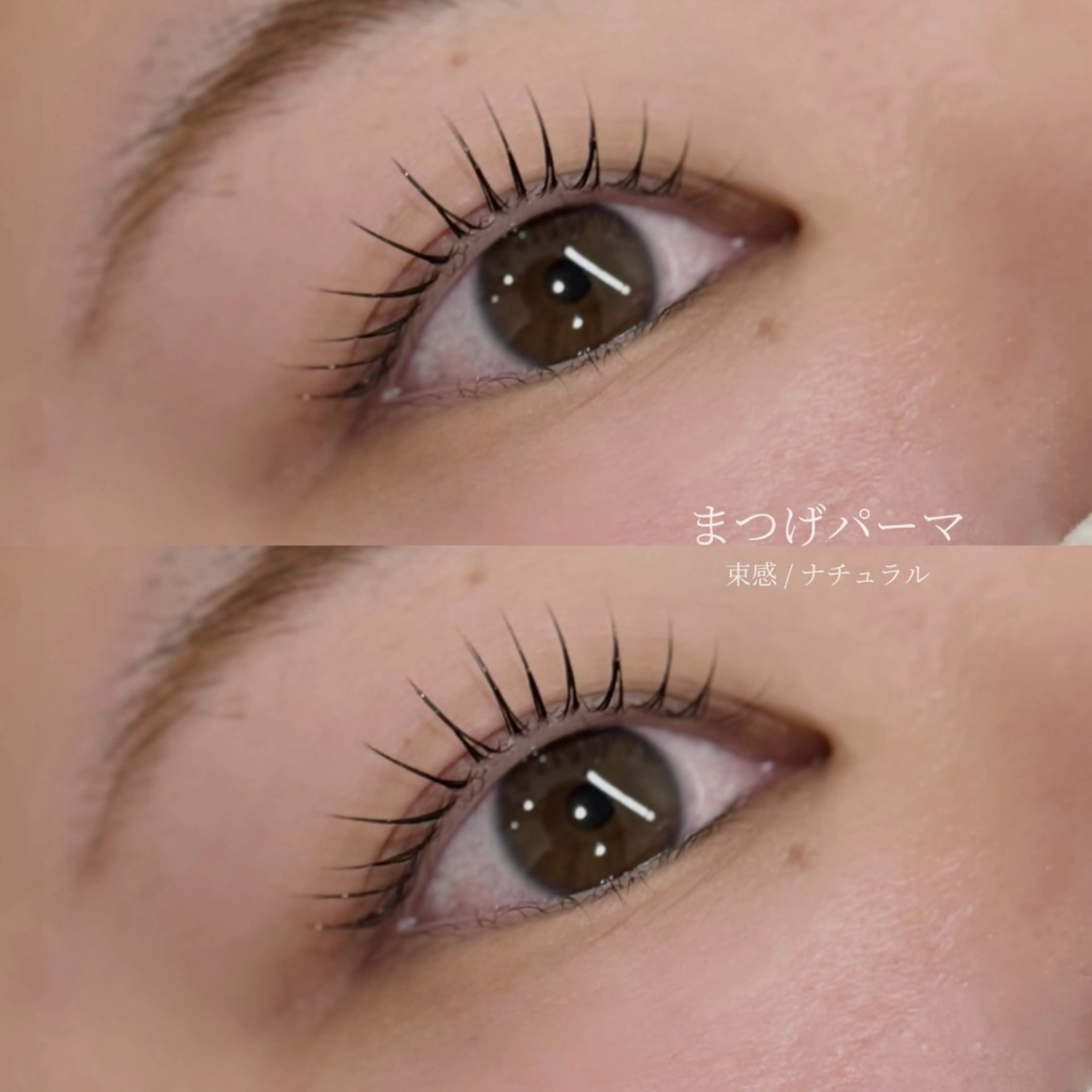 マツエク・マツパ まつげパーマ マツパ e.moa /Lalaのマツエク・マツパデザイン