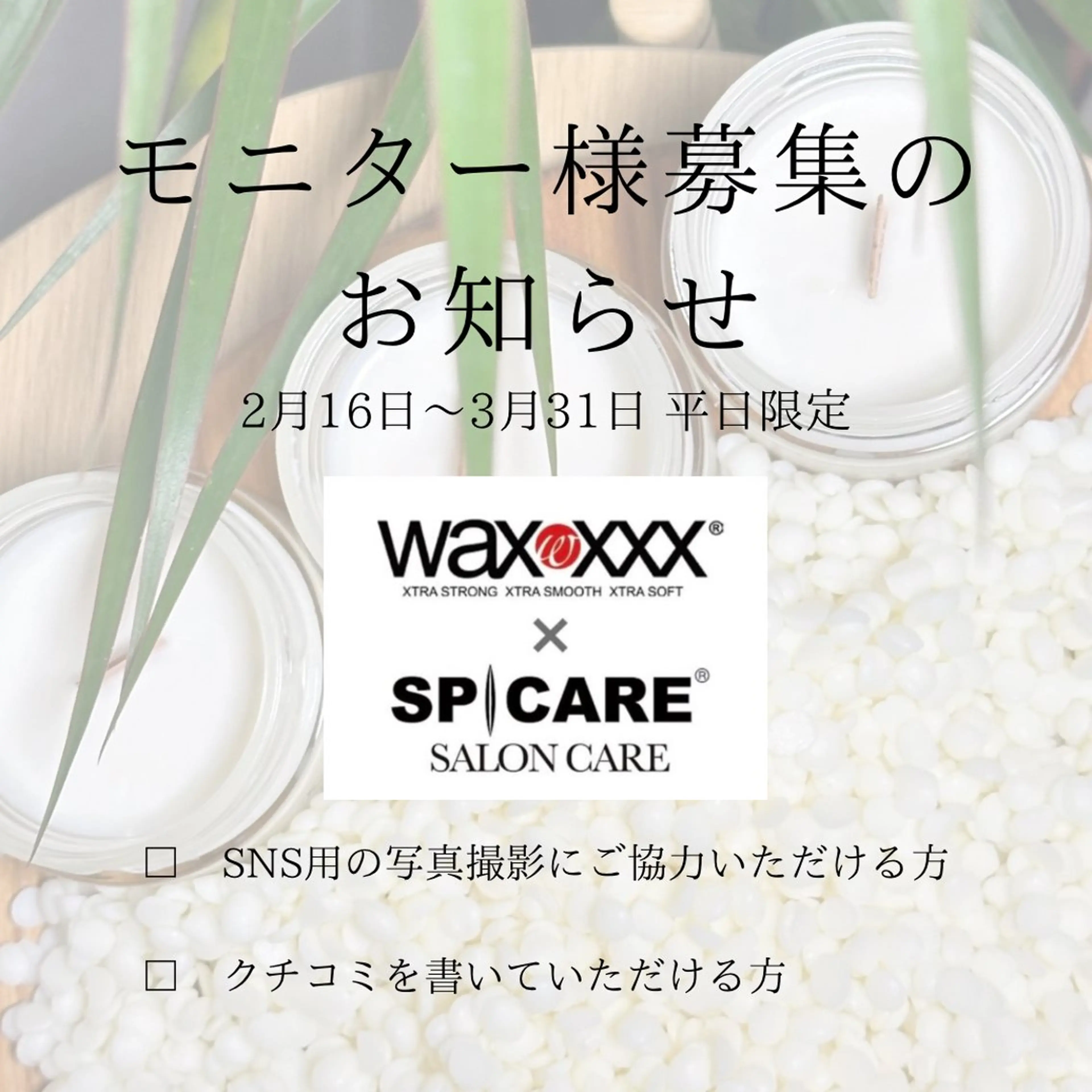 ワックス脱毛.*･ﾟスーパーフードワックスの写真