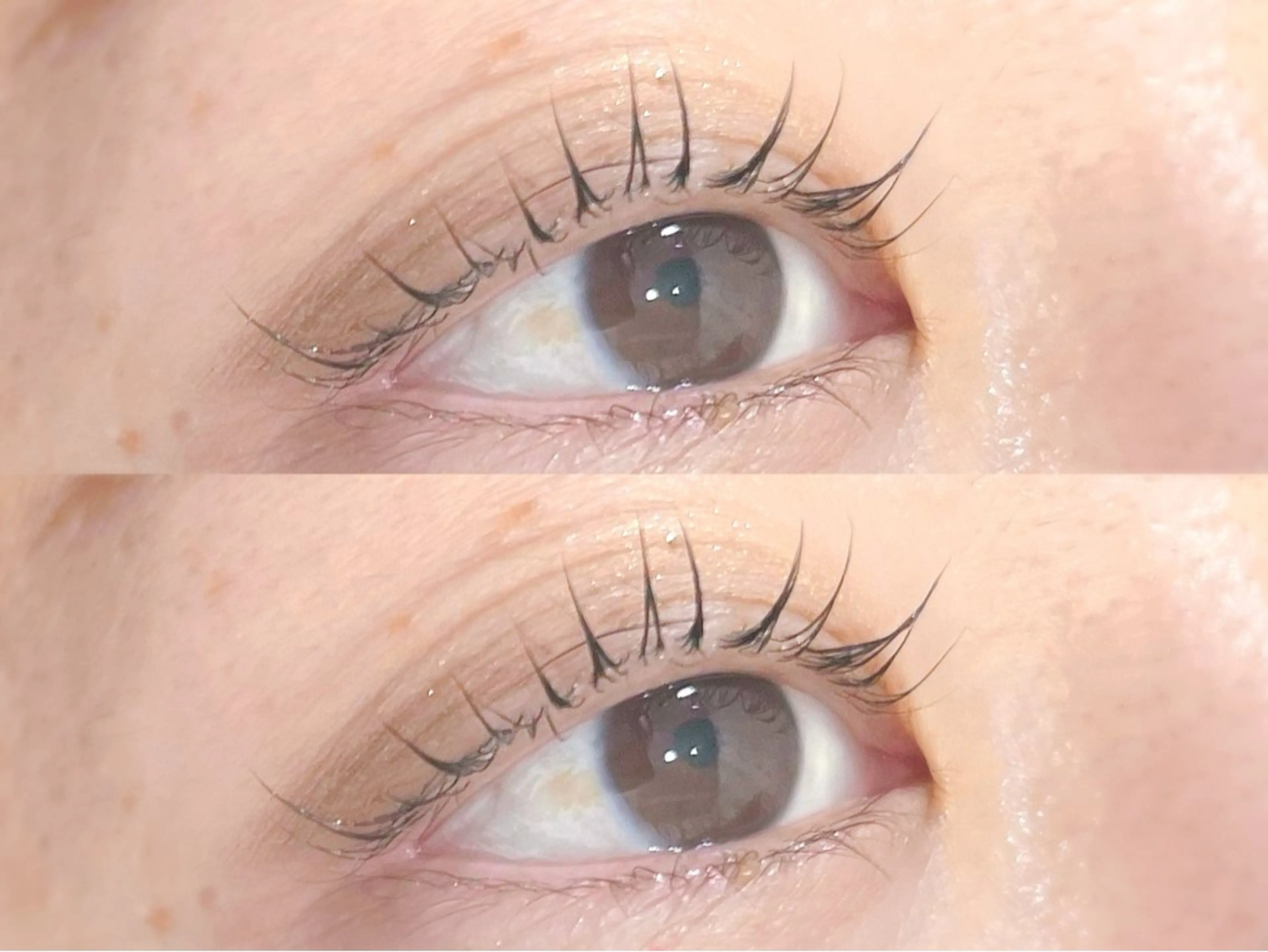 🫧まつ毛パーマ＋トリートメント＋アイシャンプー🫧【＋¥500でパリジェンヌに変更可能】当日予約⭕️の写真