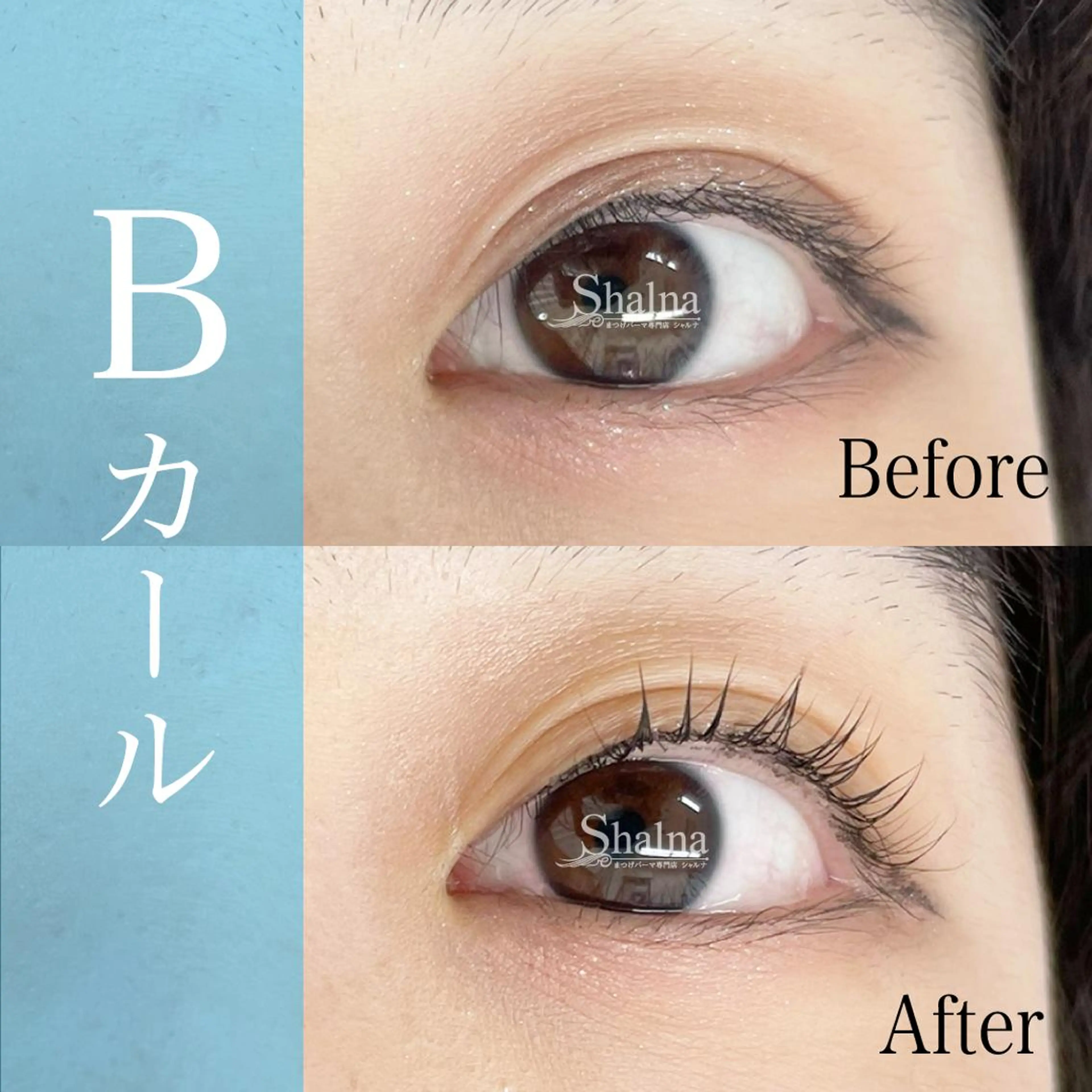 マツエク・マツパ まつげパーマ専門店 シャルナ　船橋店のマツエク・マツパデザイン