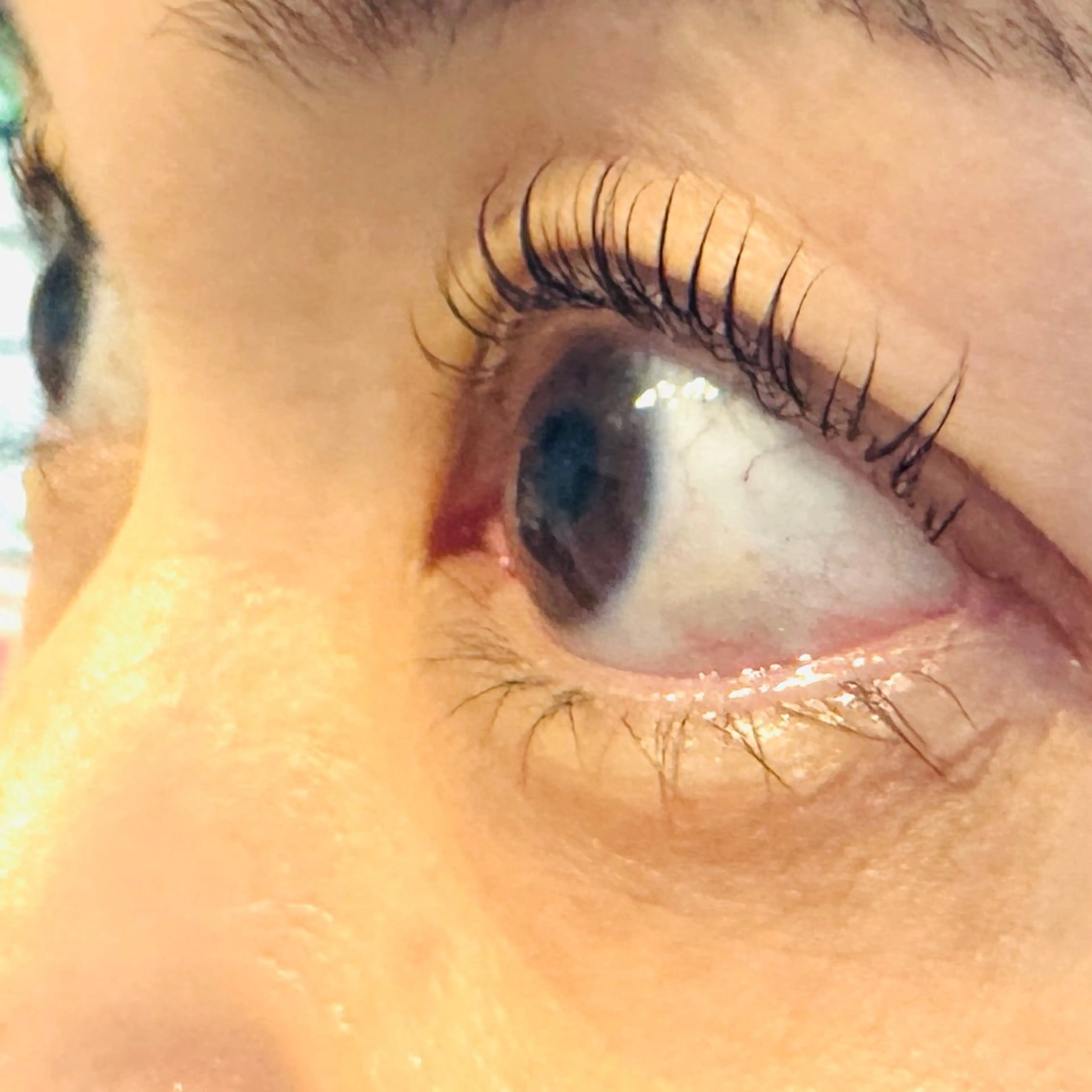 目元の撮影可能なモデル様の限定価格♡2月迄♡平日限定♡上まつ毛パーマ2500円の写真