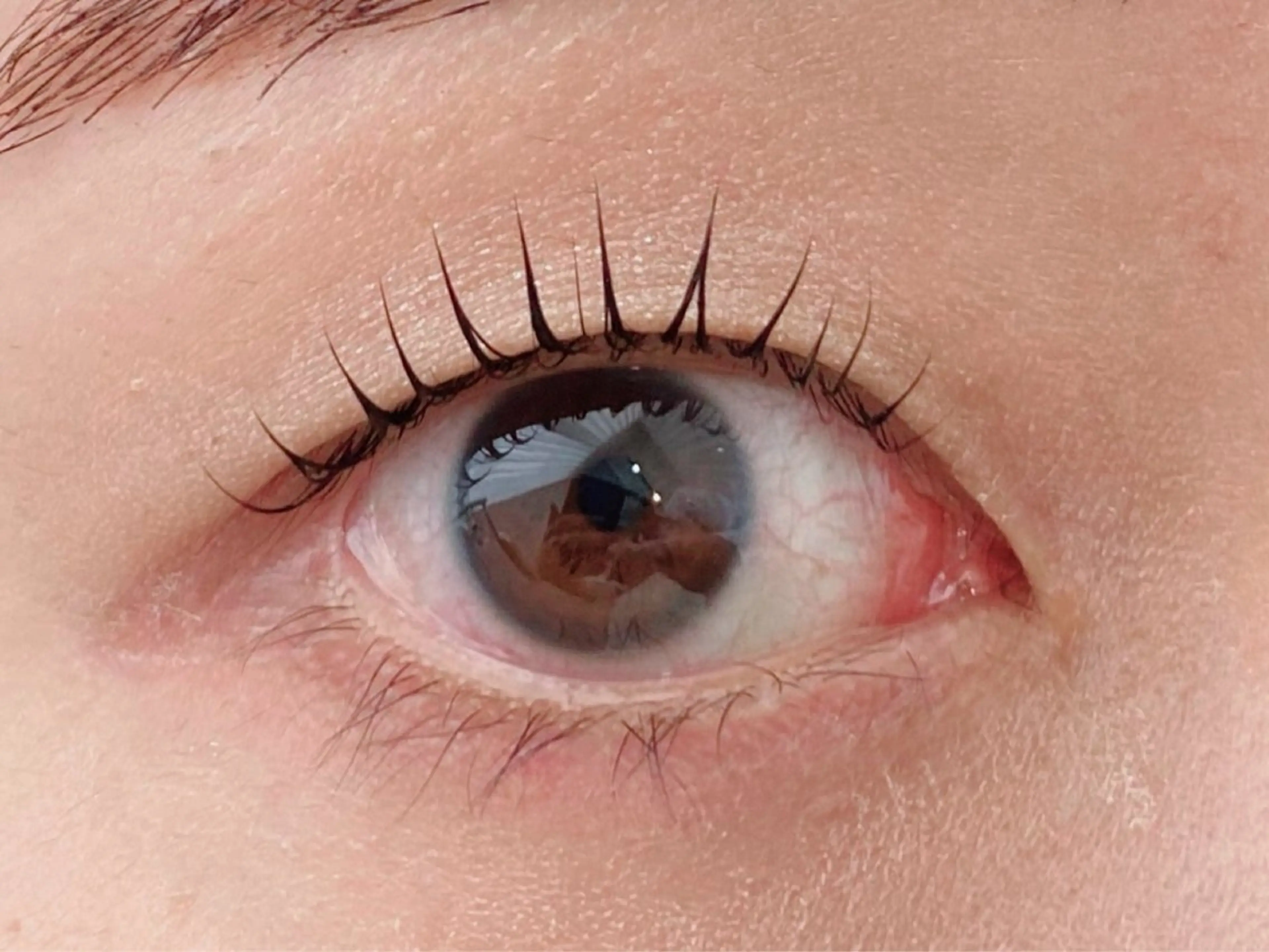 マツエク・マツパ マツパ 🫧SATOMI 草加駅5分メンズ眉毛の眉毛・アイブロウイメージ