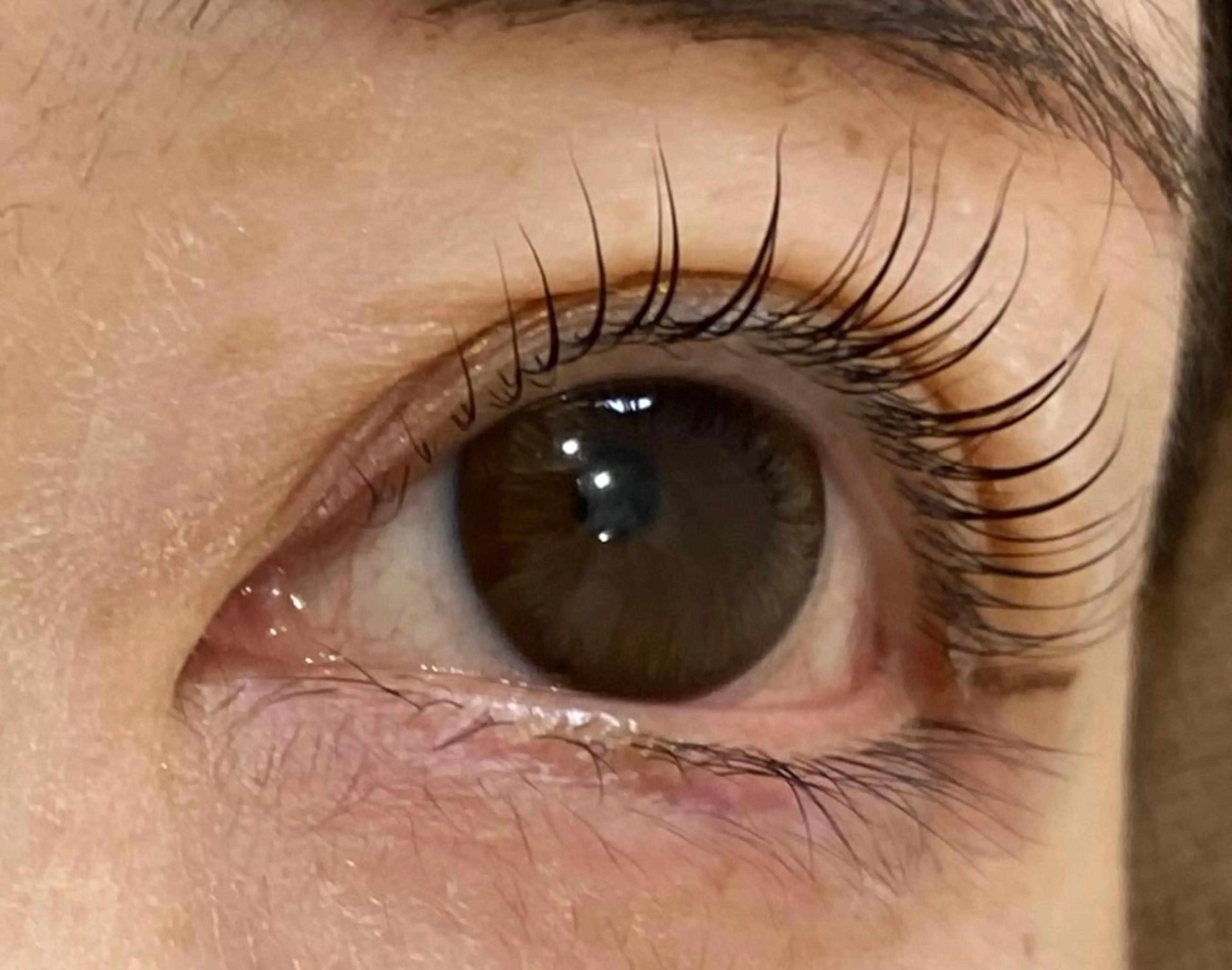 マツエク・マツパ Eyelash Salon Moana所属・齊藤 eyelashのマツエク・マツパデザイン