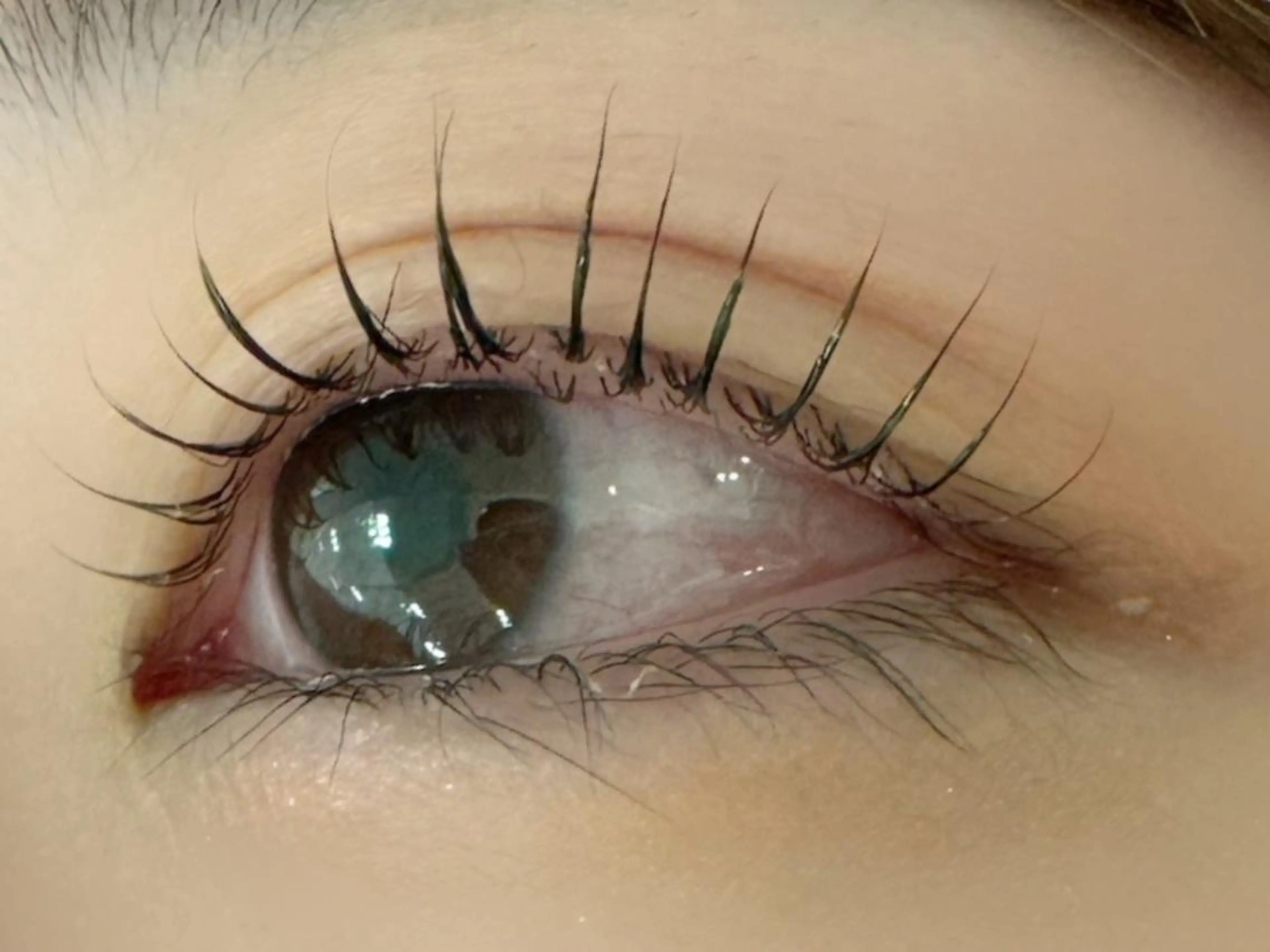 マツエク・マツパ Mian 津田沼のマツエク・マツパデザイン