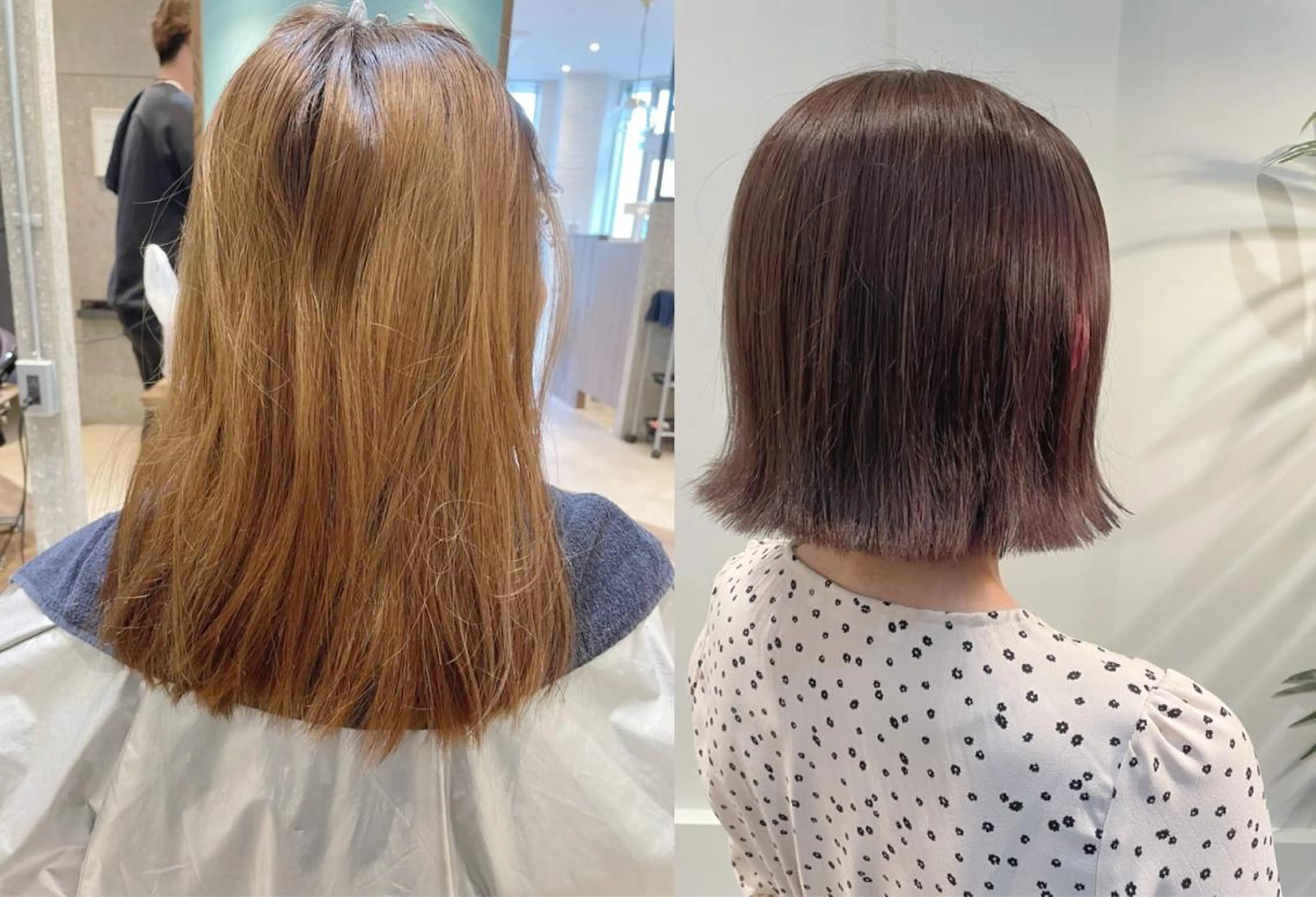 ショート カラー ケアブリーチ /髪質 改善/古橋圭史郎のヘアスタイル