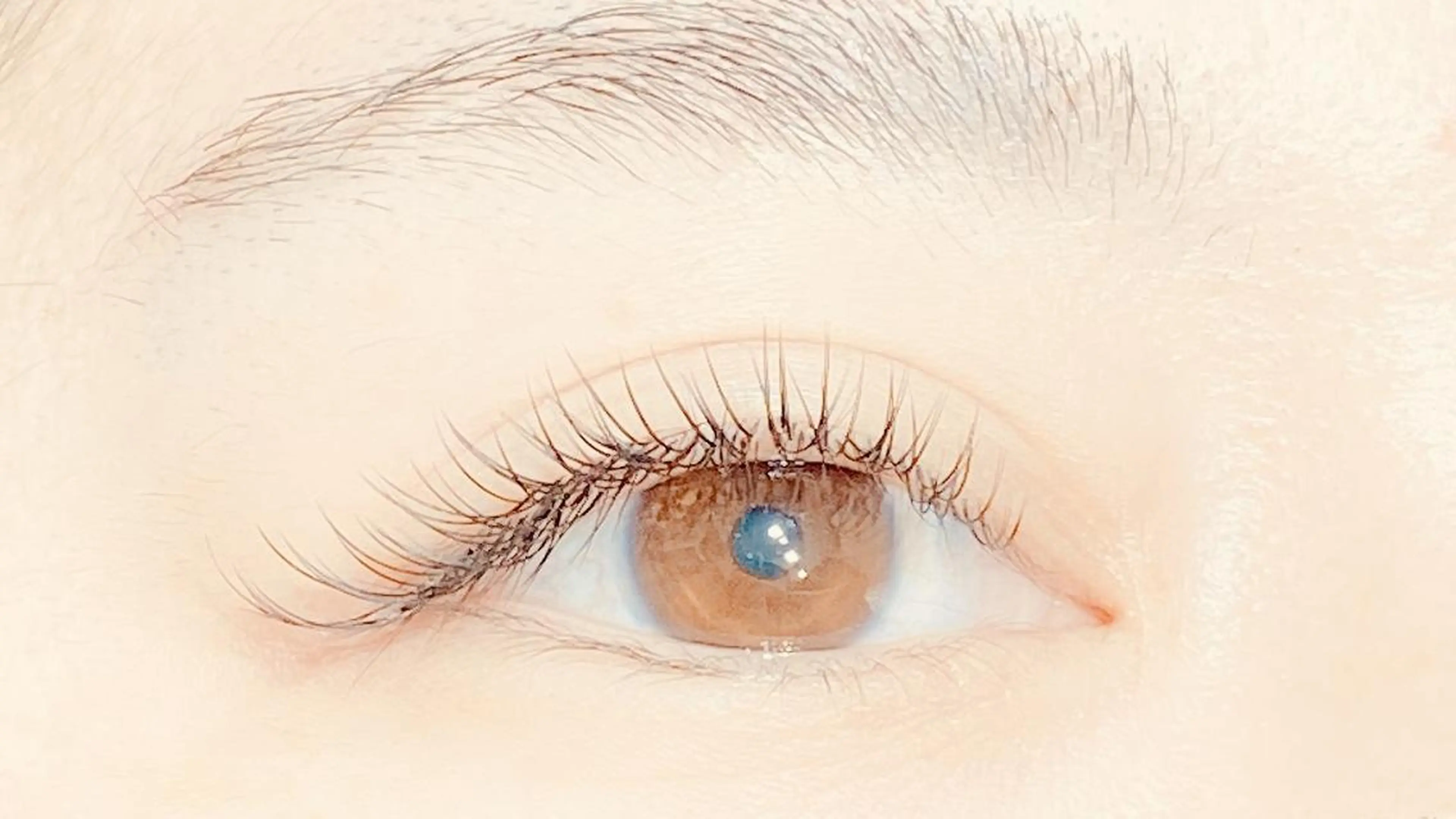 技術確認無料モデルの写真