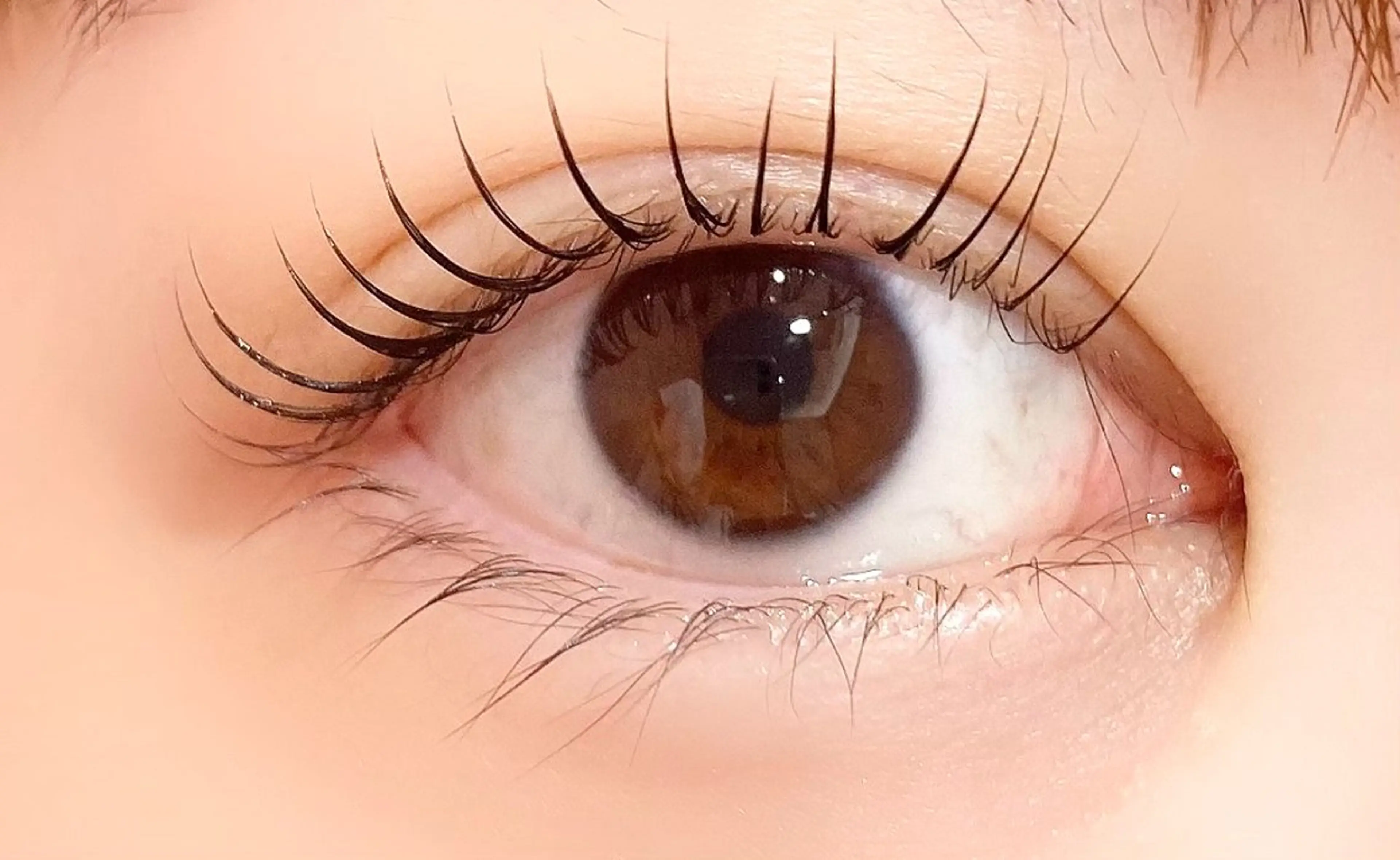 マツエク・マツパ CLEO所属・cl eoのマツエク・マツパデザイン