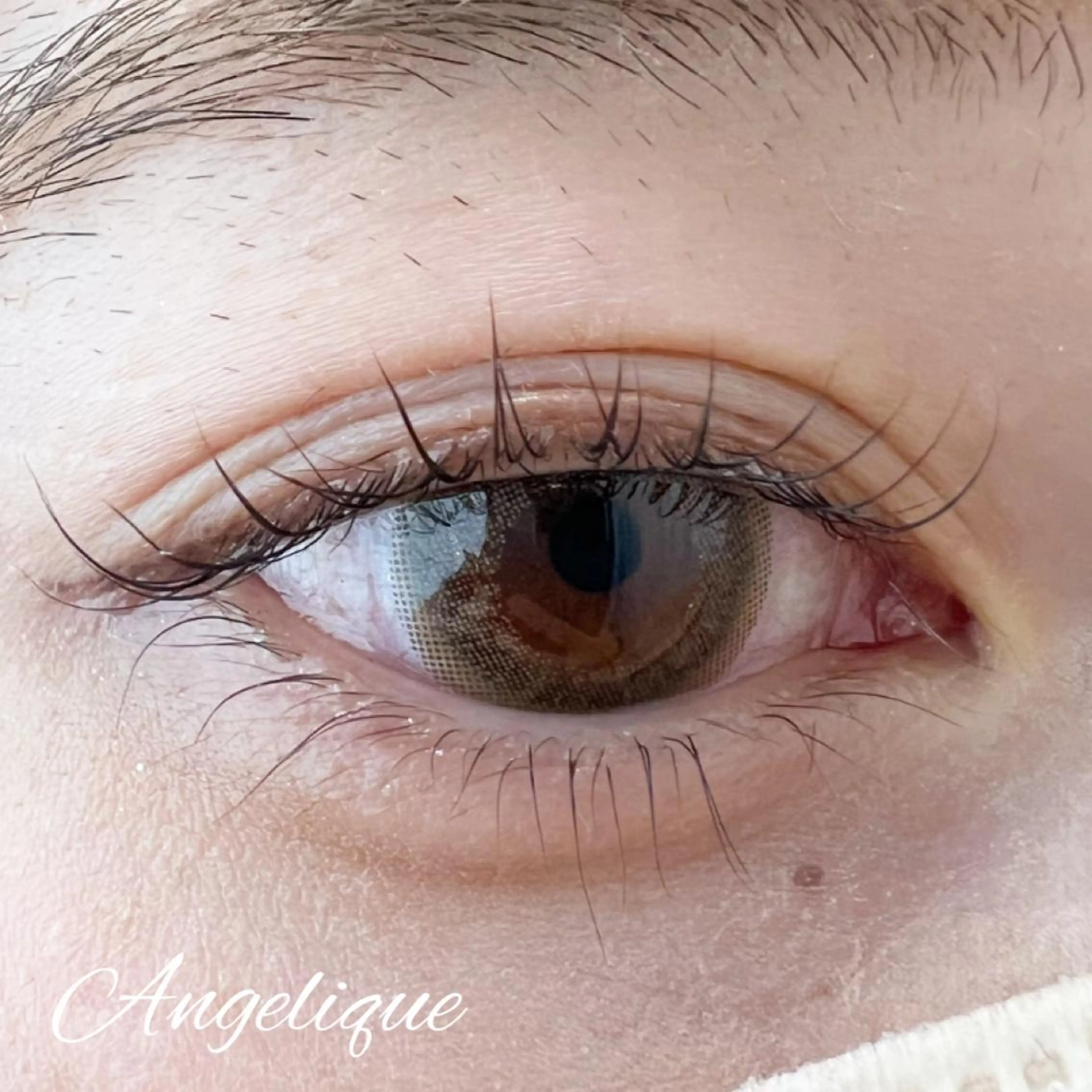 マツエク・マツパ 一重×まつ毛パーマ 田村 莉子のマツエク・マツパデザイン