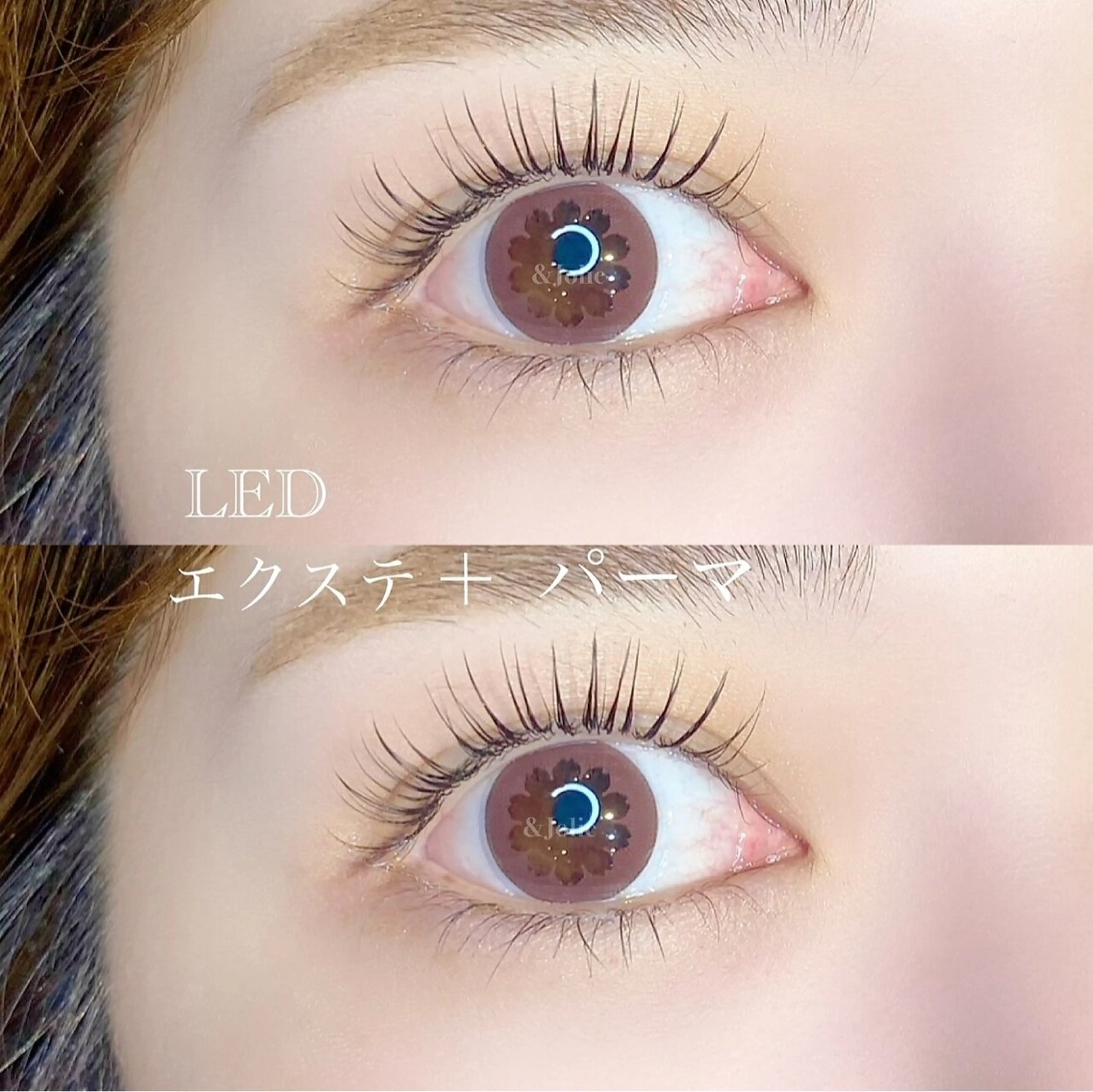 【1.2月限定】マツエクLED100本＋パーマでNEWデザイン🌿 エクステ×パーマで、自然にぱっちり目元に✨の写真