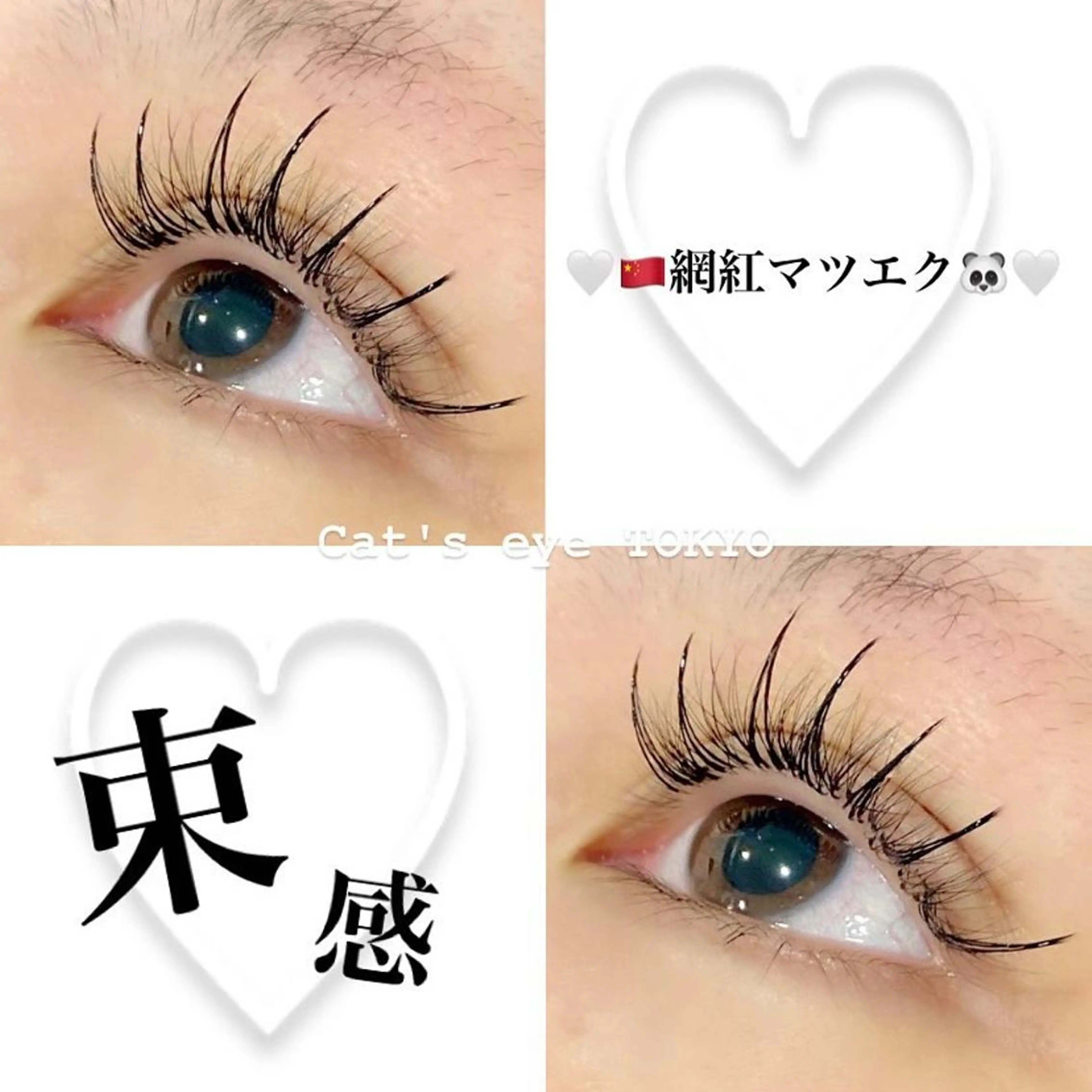 ネイル マツエク・マツパ フラットラッシュ ボリュームラッシュ ワンホンマツエク ワンホンネイル Cat's eye TOKYO 新宿店のネイルデザイン