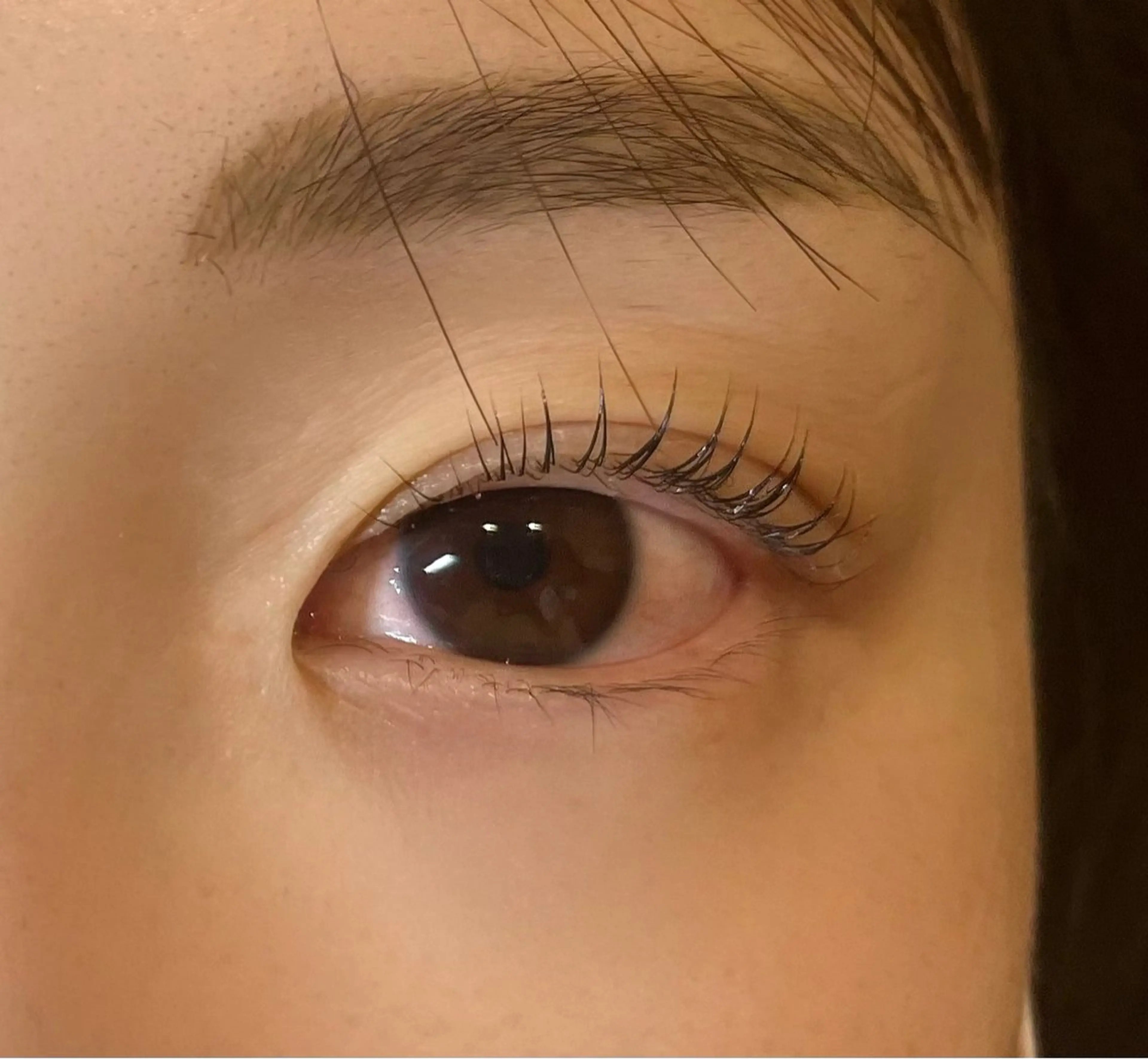 🩷パリジェンヌラッシュリフト🩷の写真