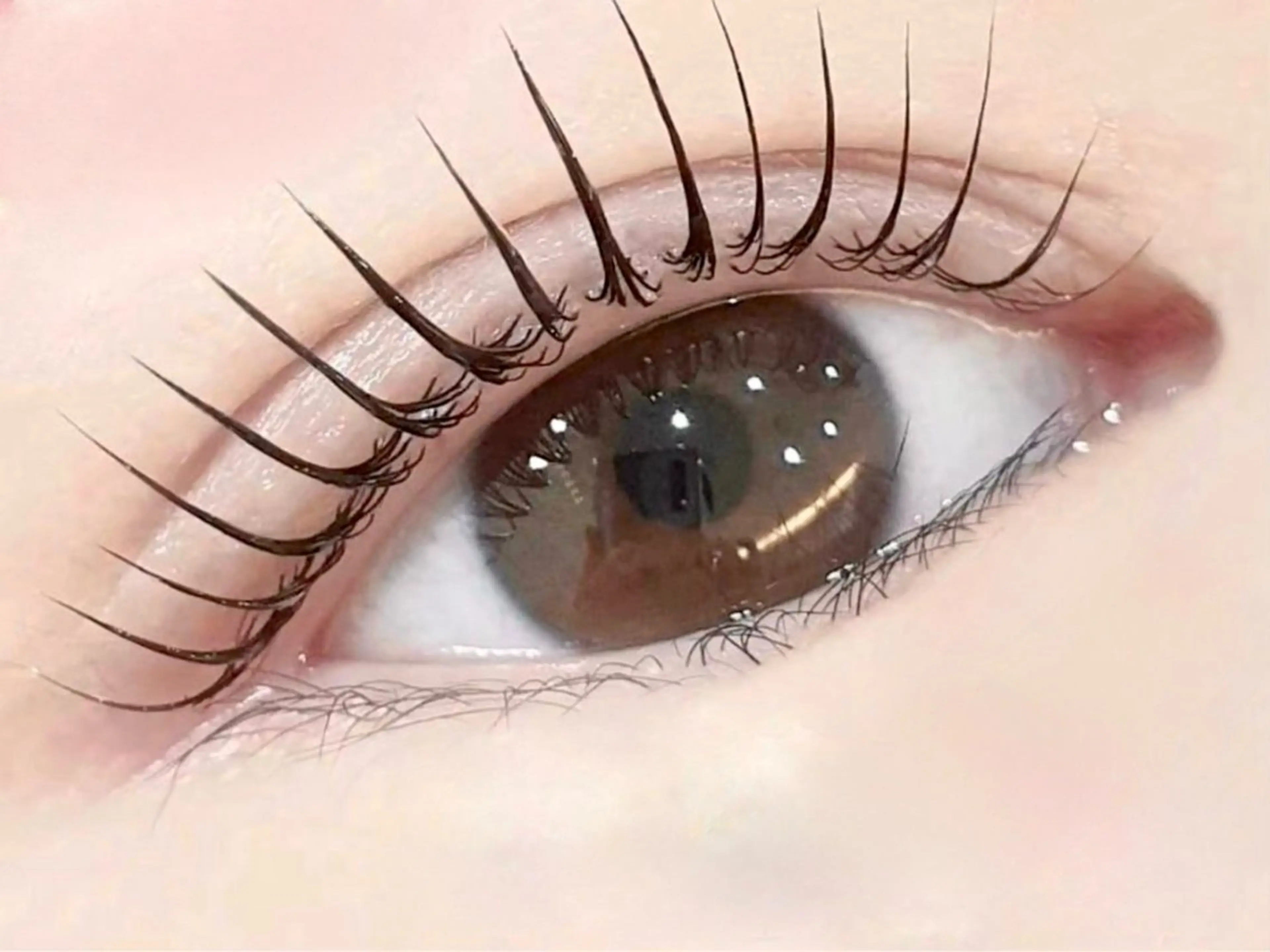 【minimo限定クーポン】🧚🏻‍♀️パリジェンヌ＋プレミアムコーティング仕上げ🧚🏻‍♀️の写真