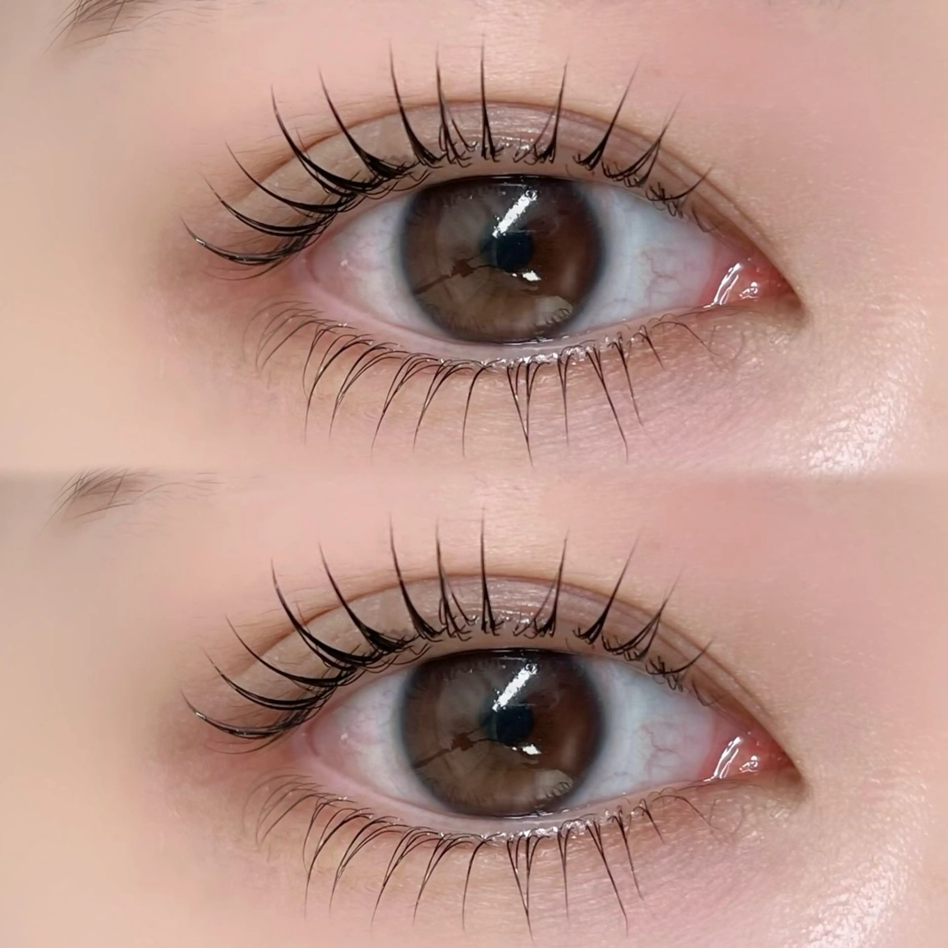 🐬上下韓国風まつげパーマ🐬3種のケア付き🩵の写真