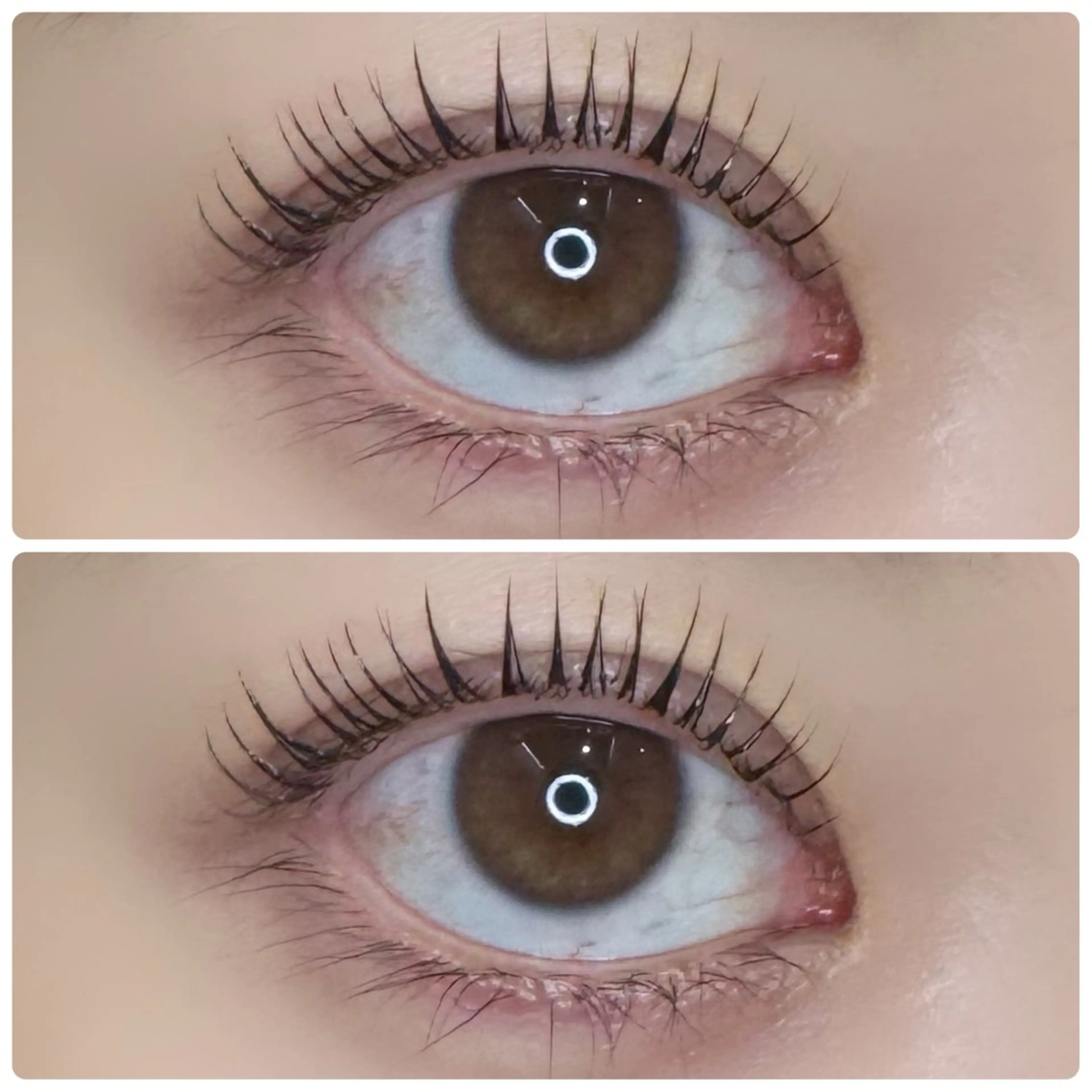 マツエク・マツパ 𓇼shiho𓇼 .のマツエク・マツパデザイン