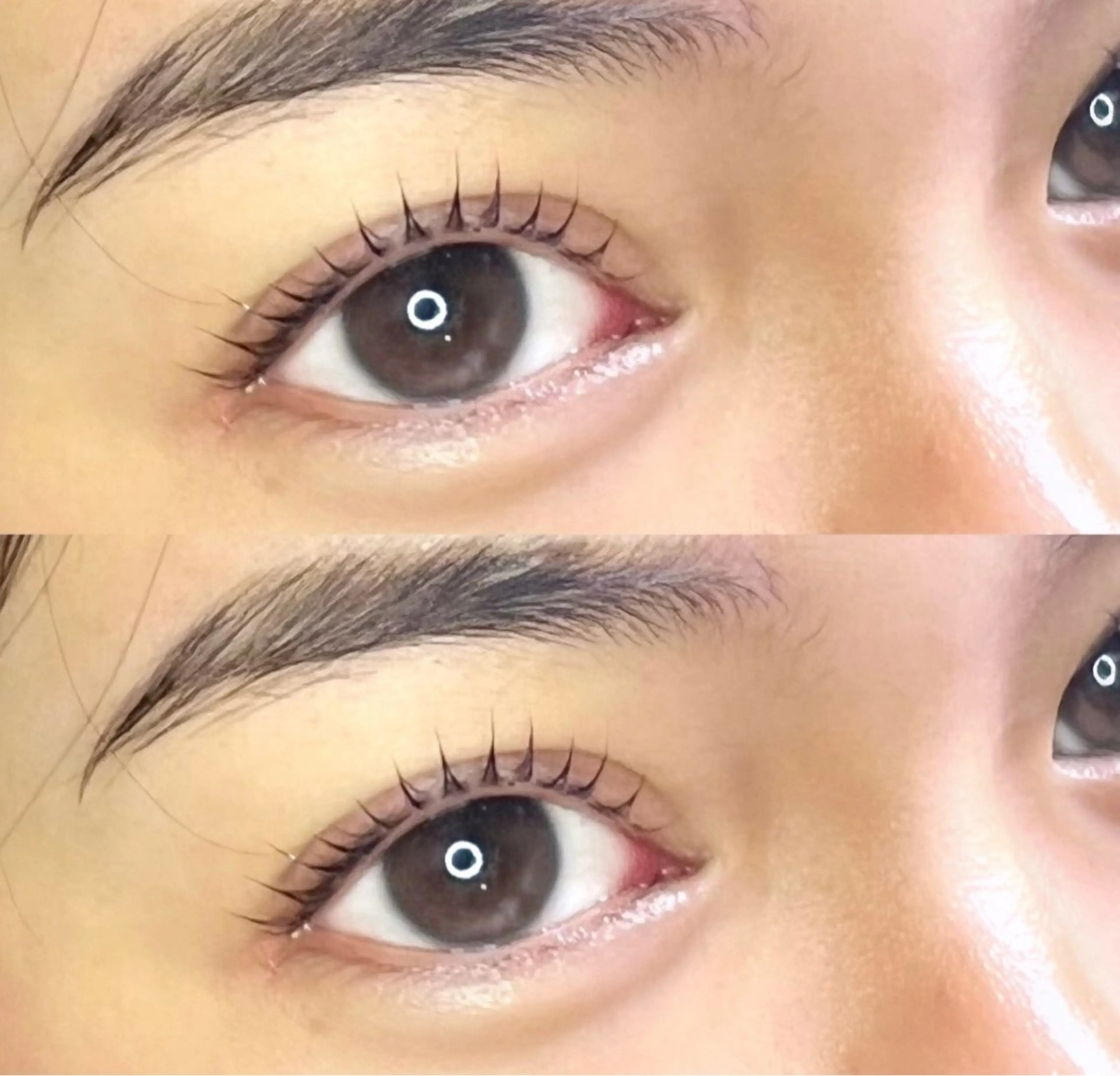 《minimo価格》🌻デザインラッシュリフト➕コーティング付🌻の写真