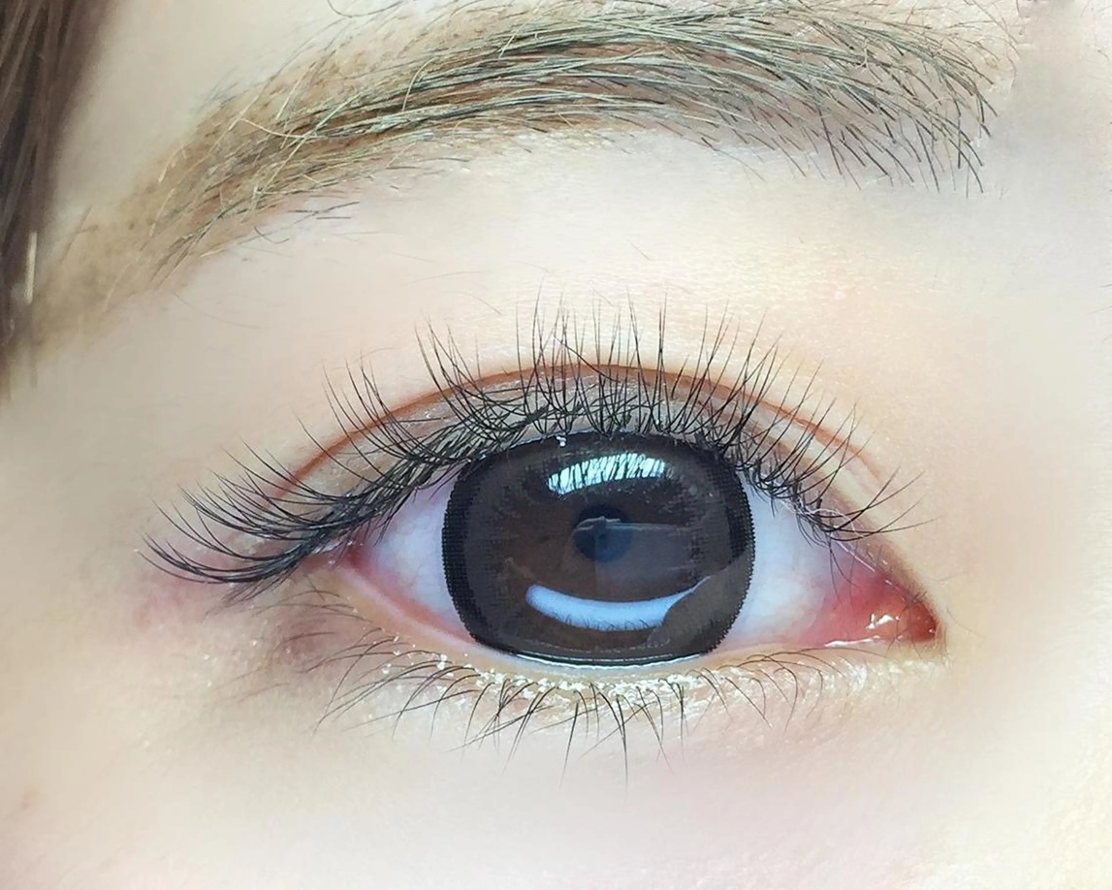 【3D】ボリュームラッシュ240本の写真