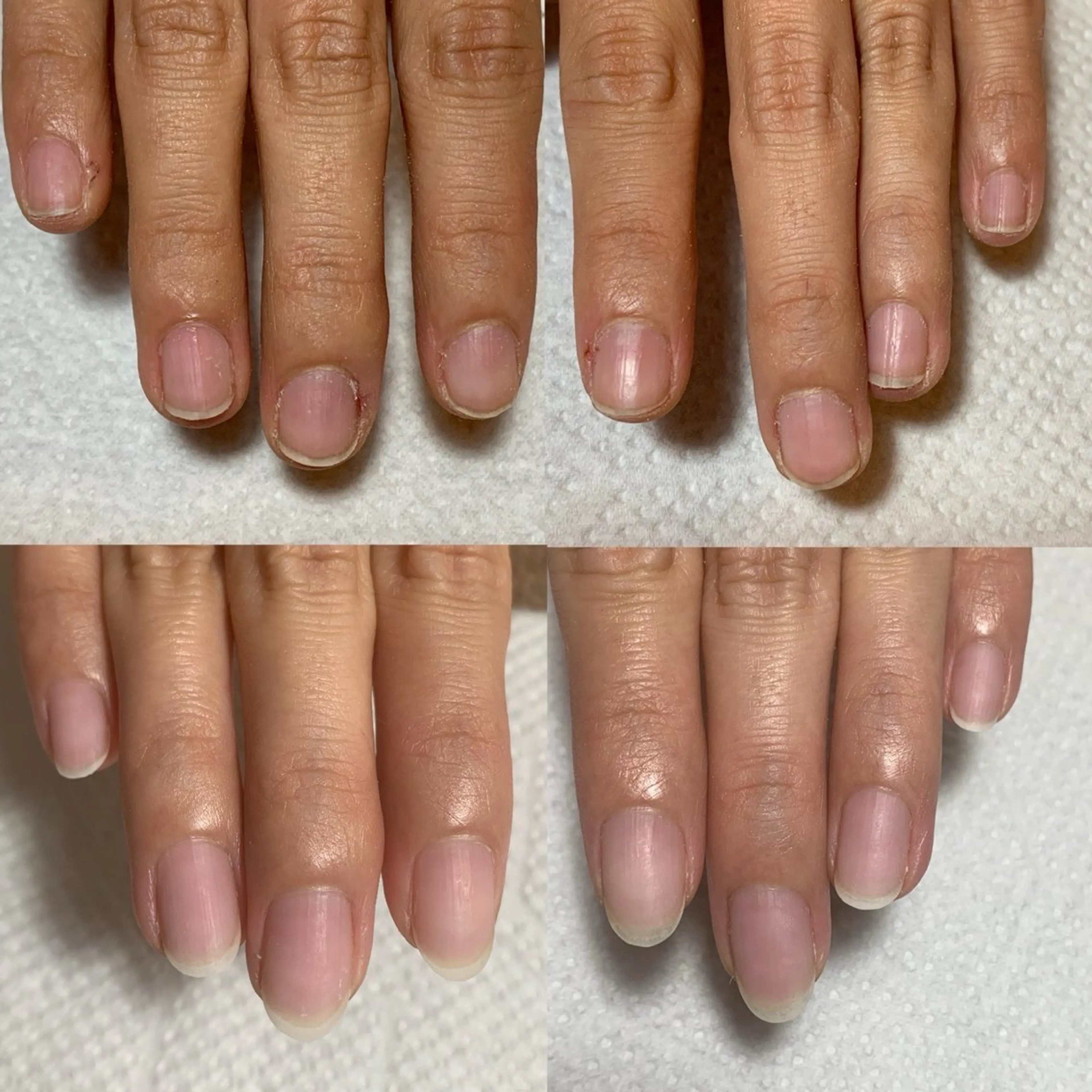 ネイル ネイルケアサロン Campanulaのネイルデザイン