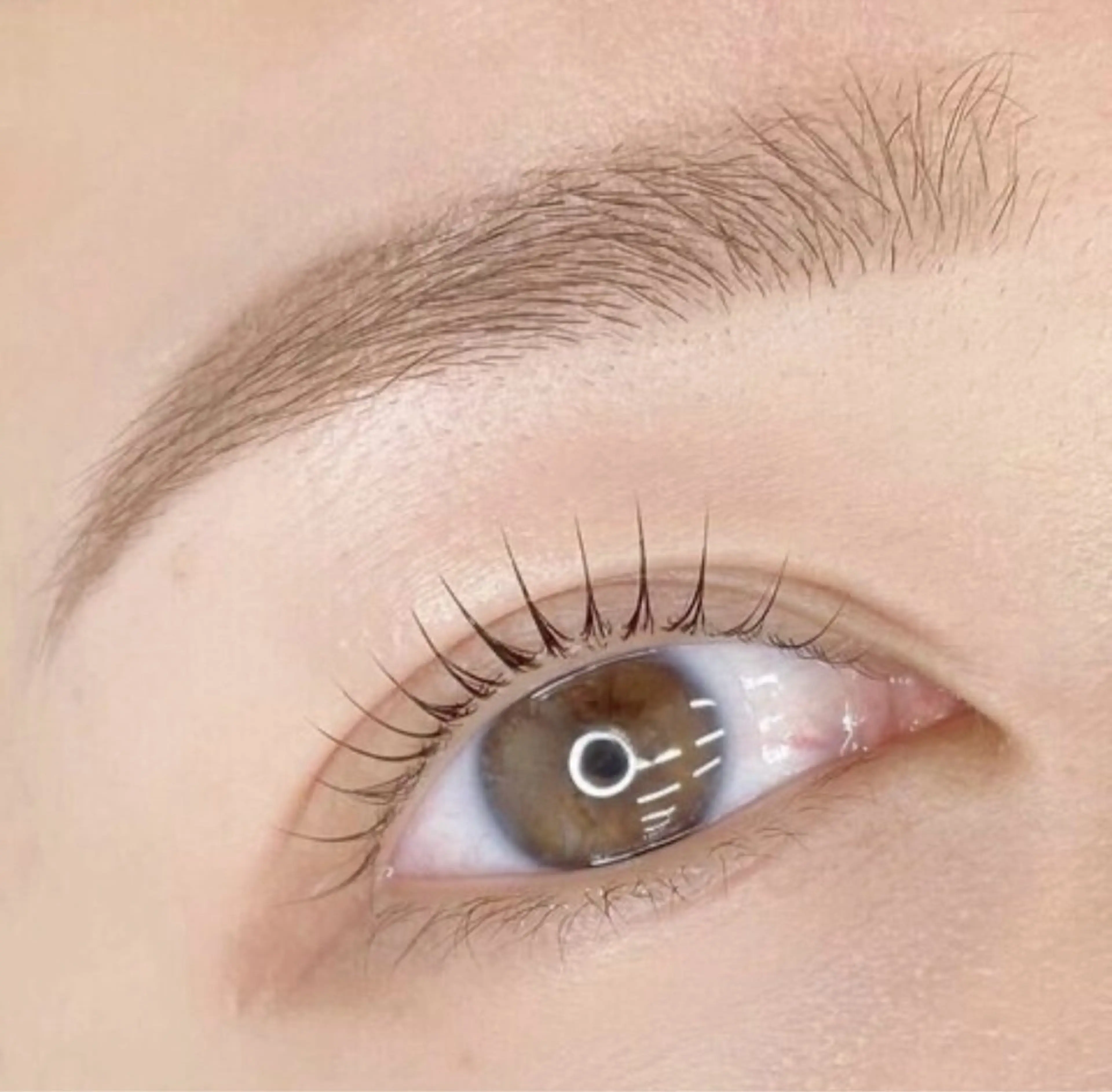 【人気No.1】《黄金比(骨格診断)×似合わせ》WAX美眉スタイリングの写真