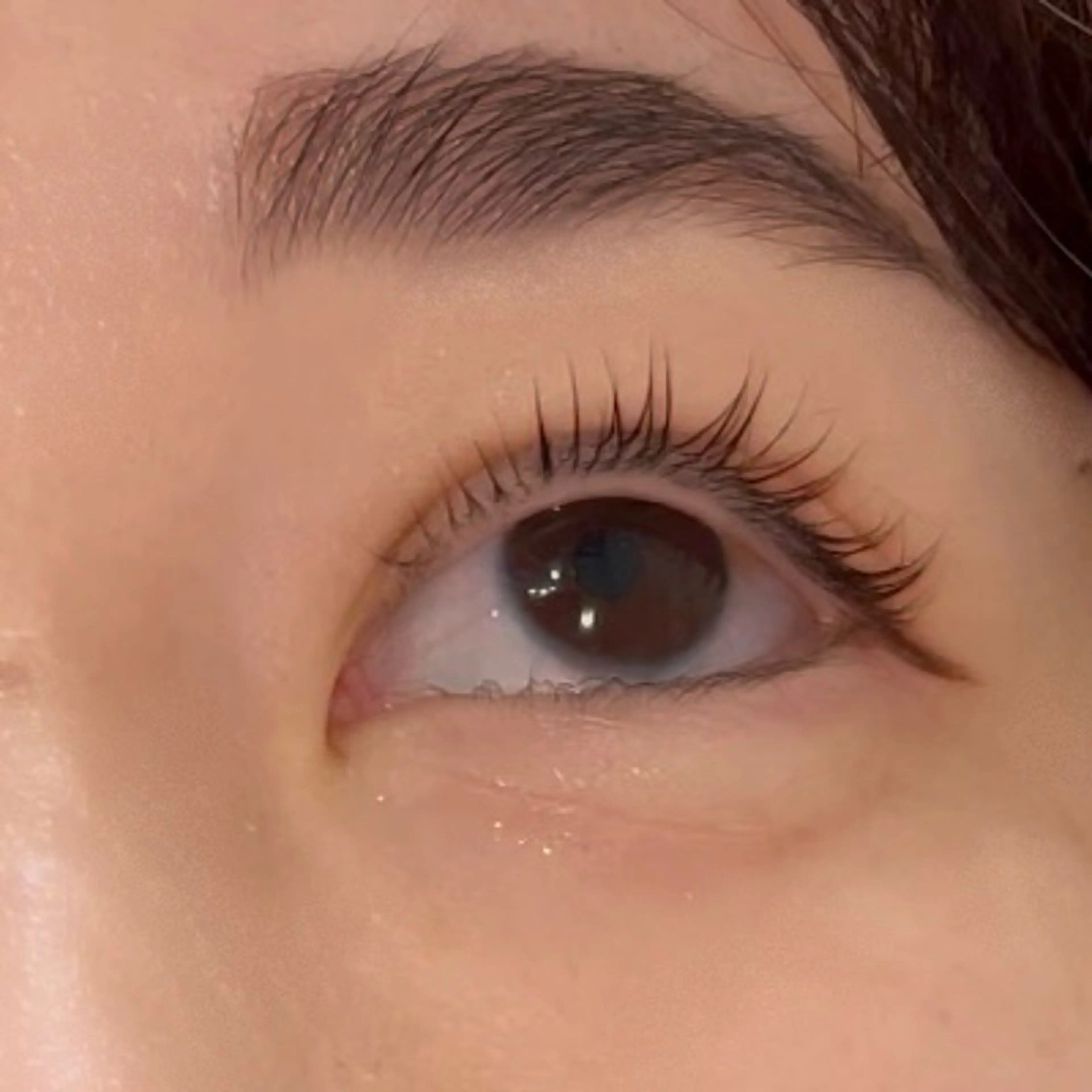 当日予約OK👌🏻《まつげパーマ👀》の写真