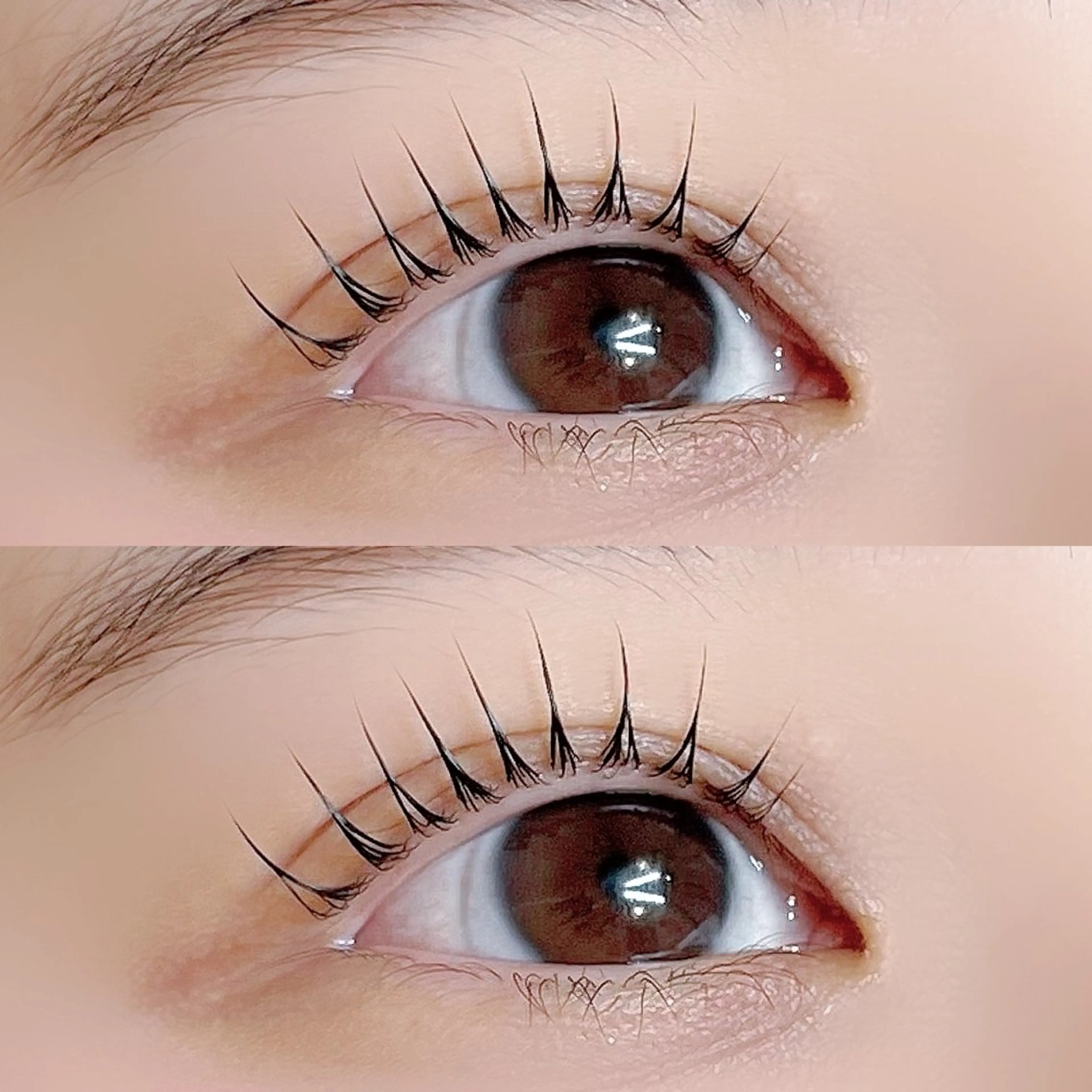 マツエク・マツパ マツパ eyelash salon Pupu lash 流山おおたかの森所属・Pupu lash🐱のその他イメージ