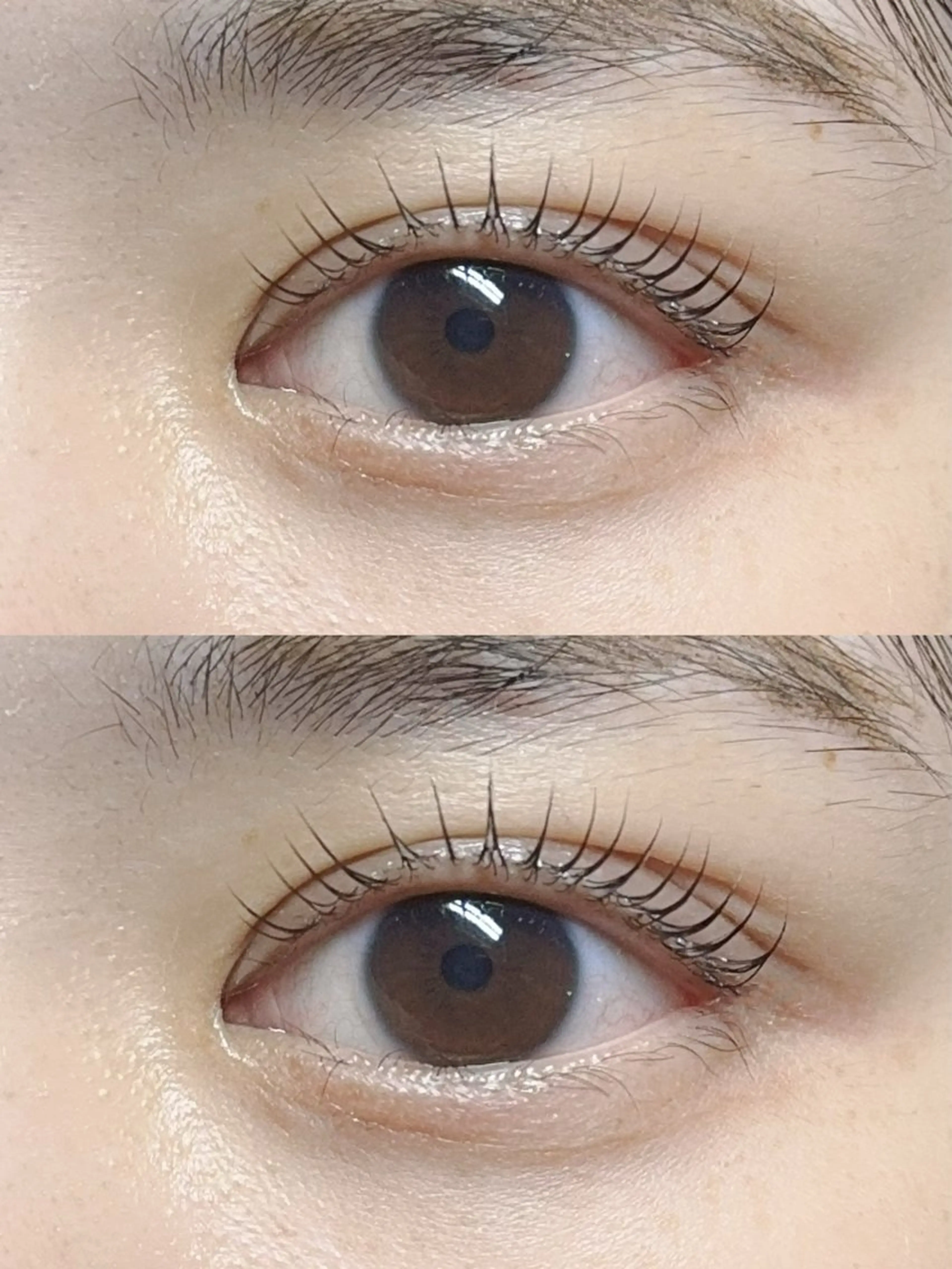 マツエク・マツパ Eyelash foisalonのマツエク・マツパデザイン