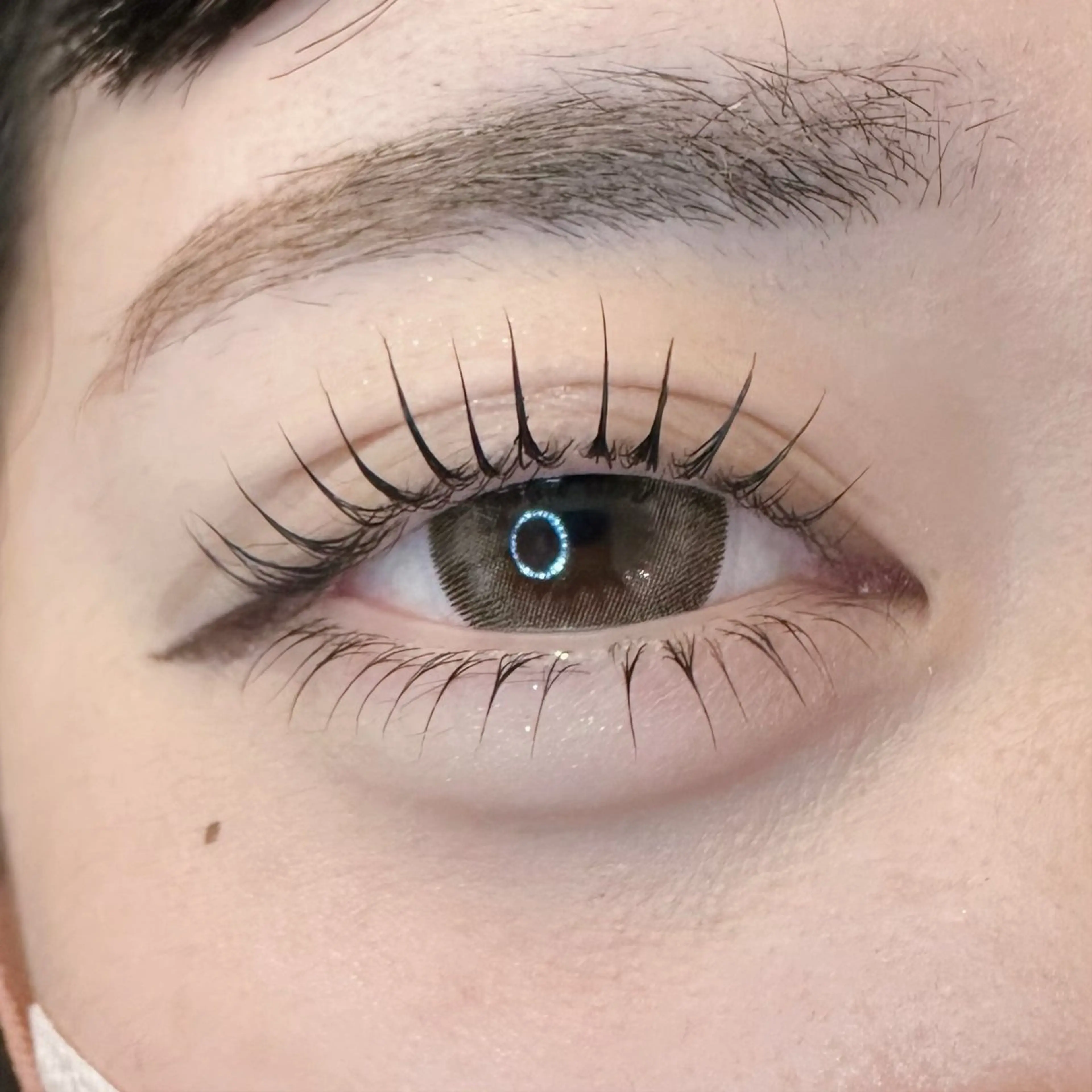 マツエク・マツパ 韓国風マツエク Lカール 池袋駅韓国風🇰🇷 束感💗Tomoのマツエク・マツパデザイン