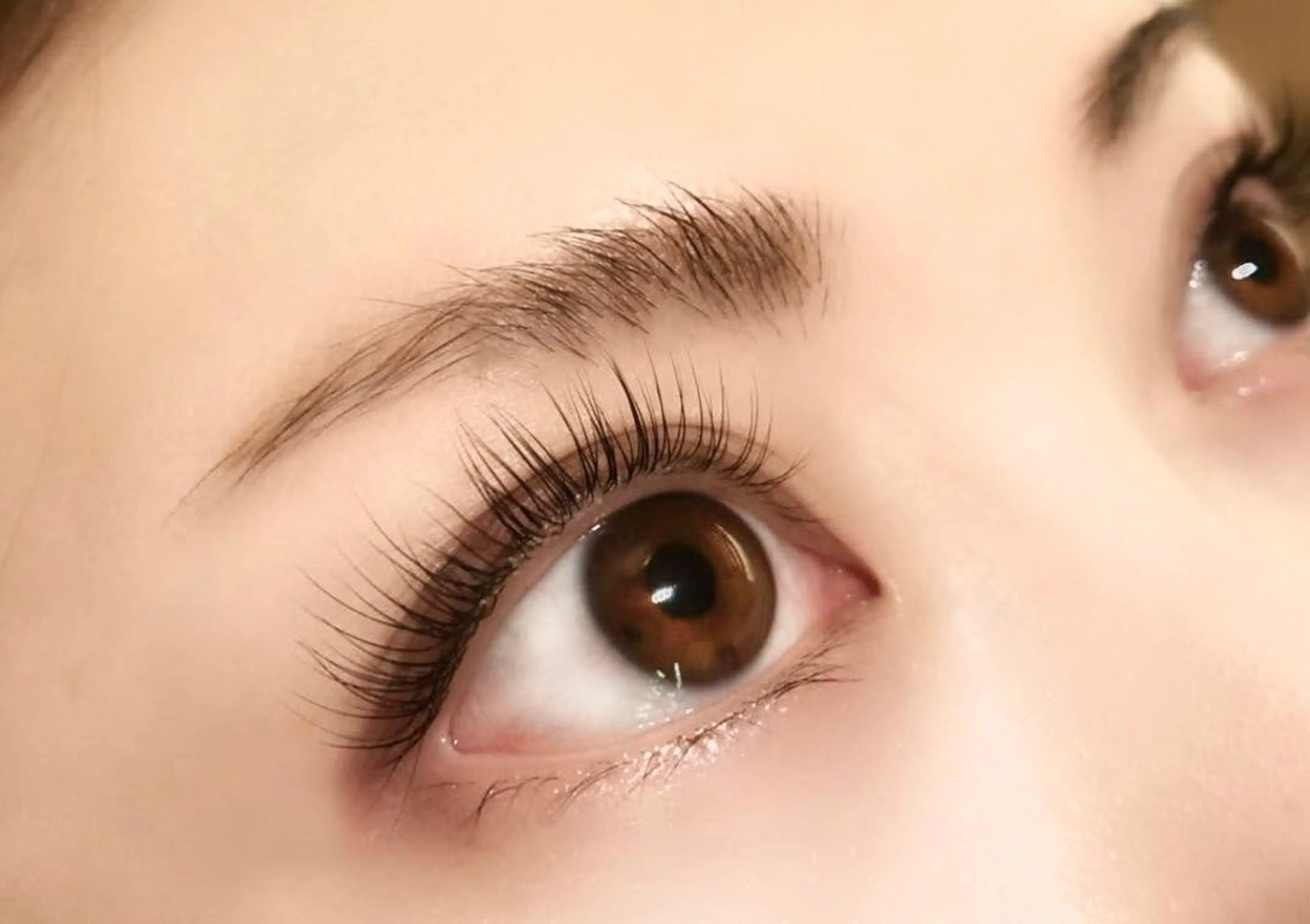 マツエク・マツパ Feaure巨勢町店所属・EGUCHI Rのマツエク・マツパデザイン