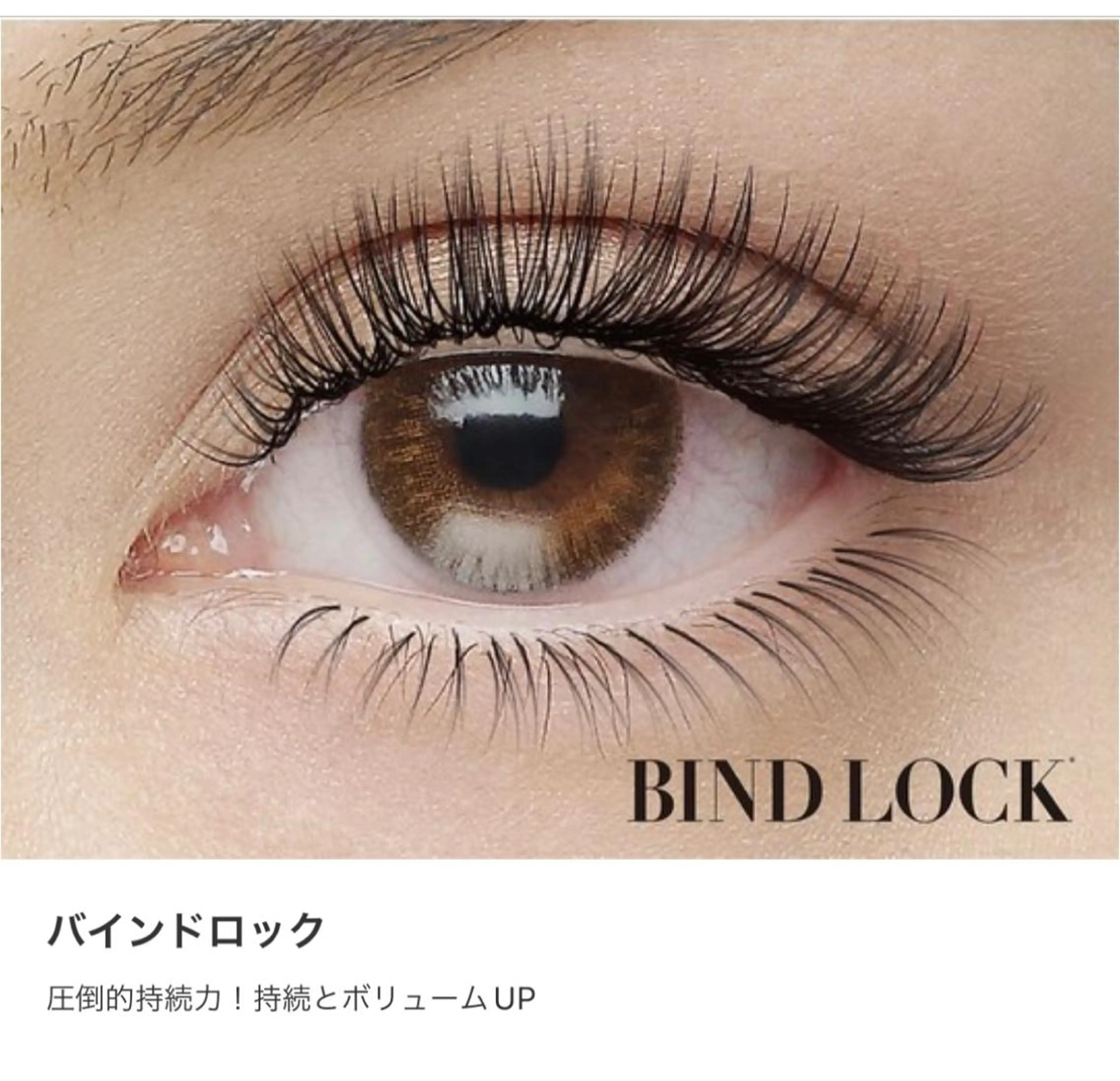 LEDバインドロック60束　オフなし限定の写真