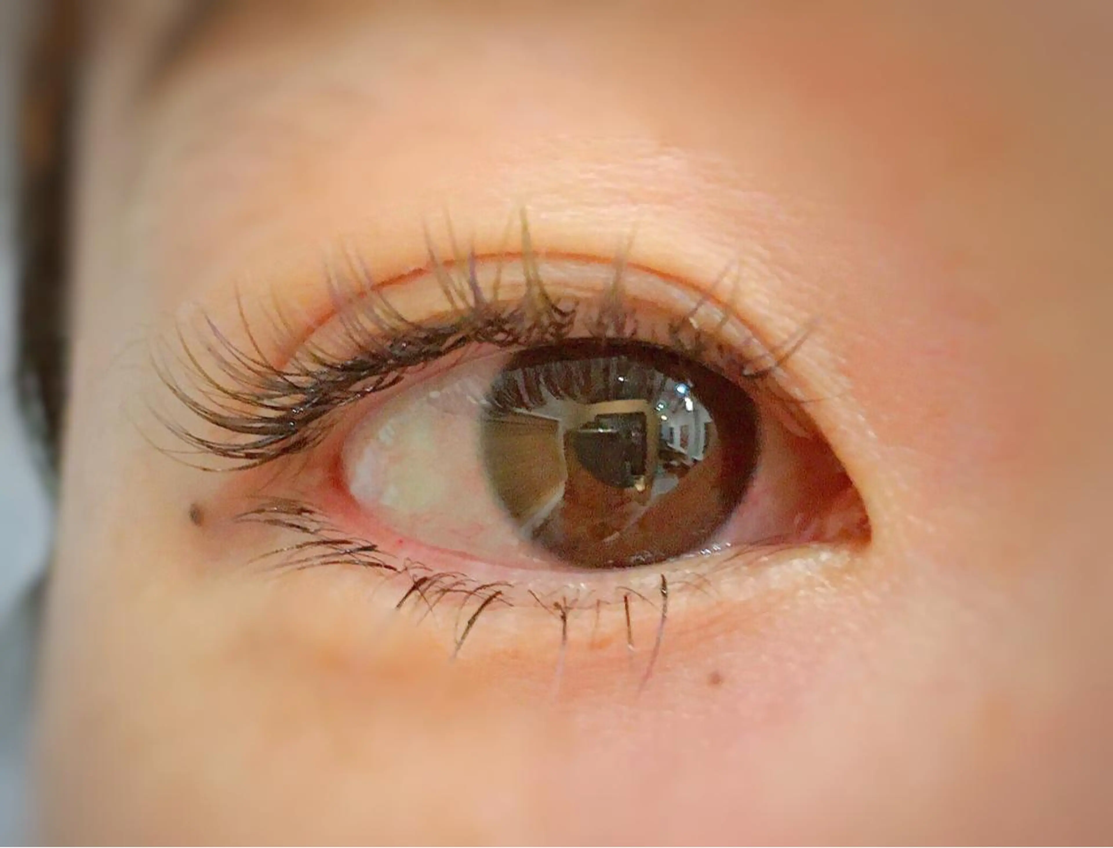 マツエク・マツパ 眉毛まつ毛専門店 uralogeのマツエク・マツパデザイン