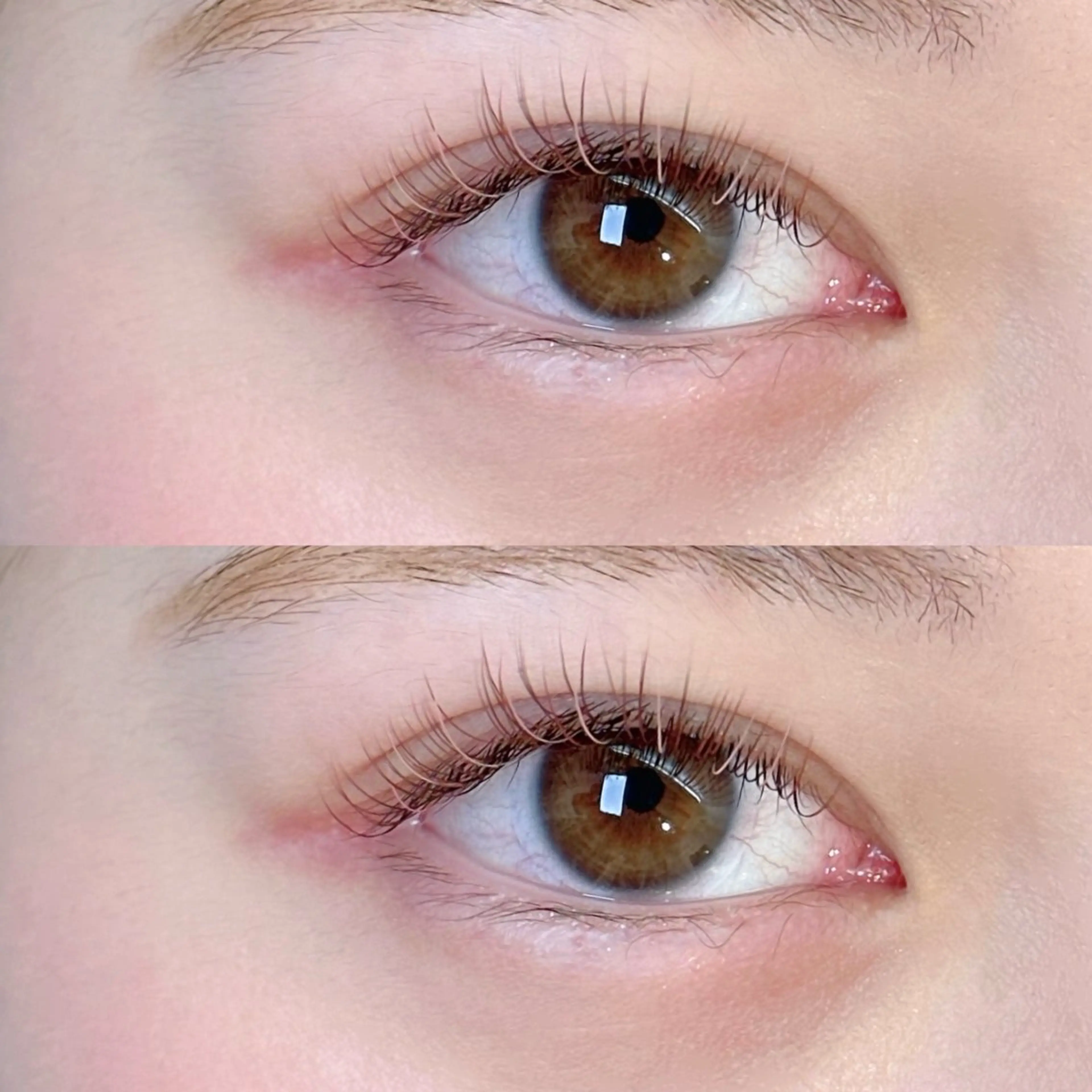 マツエク・マツパ カラーマツエク マツエク Neo店長🌿 KOTONO🌿のマツエク・マツパデザイン