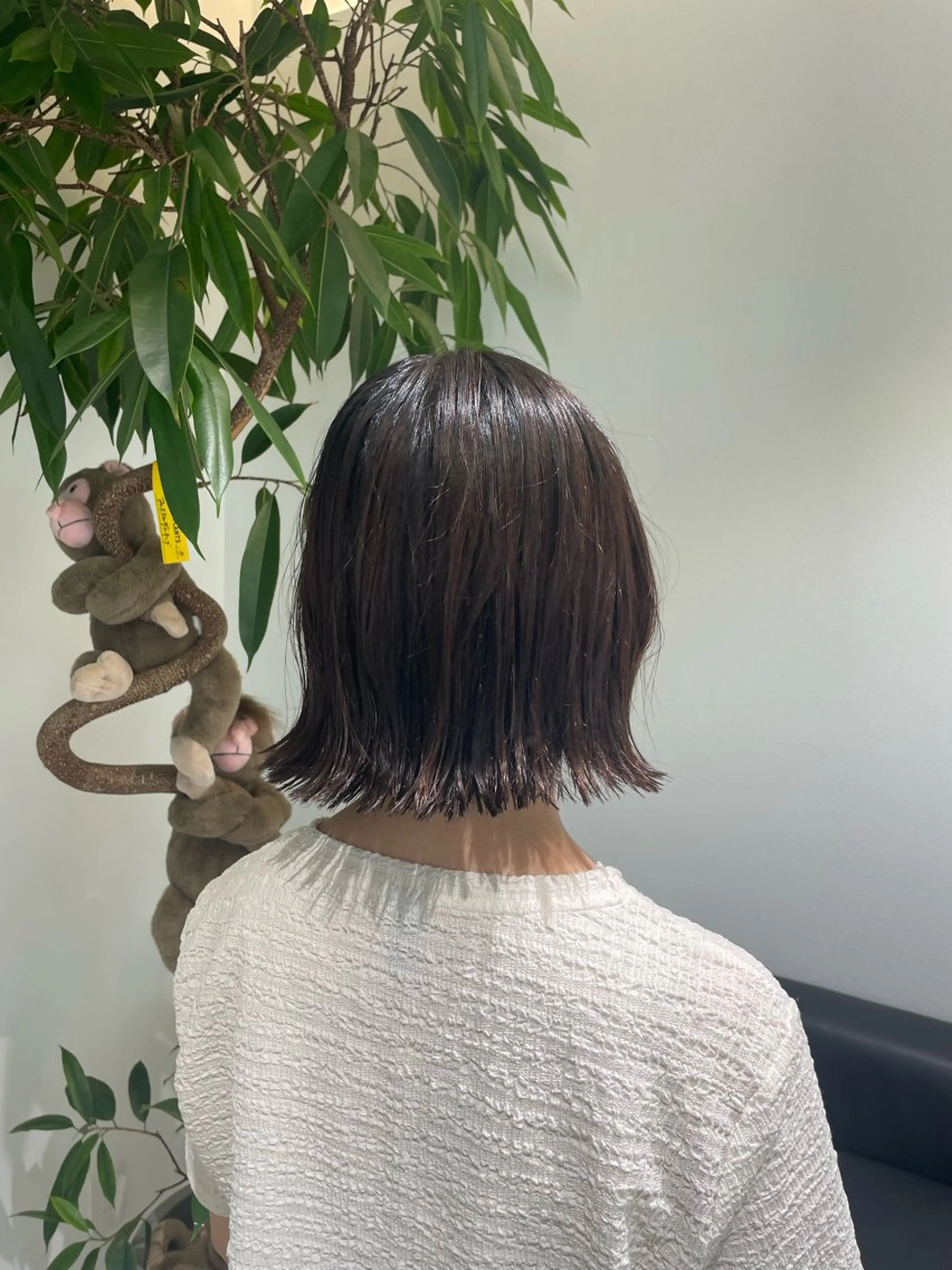 【🌟おすすめ🌟】ボブカット✂️✨の写真