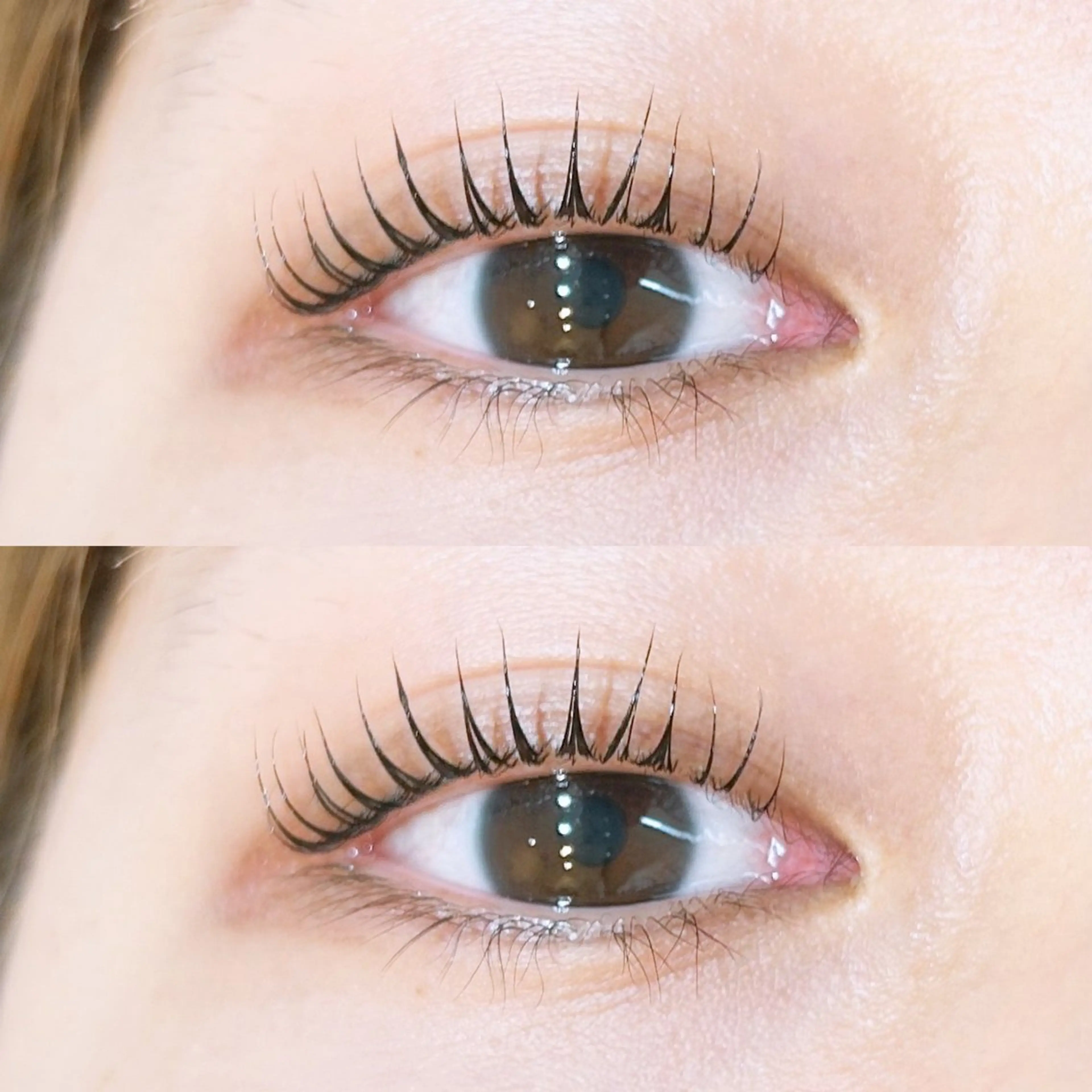 【選べるまつ毛パーマ】🧸パリジェンヌorラッシュリフト🧸の写真