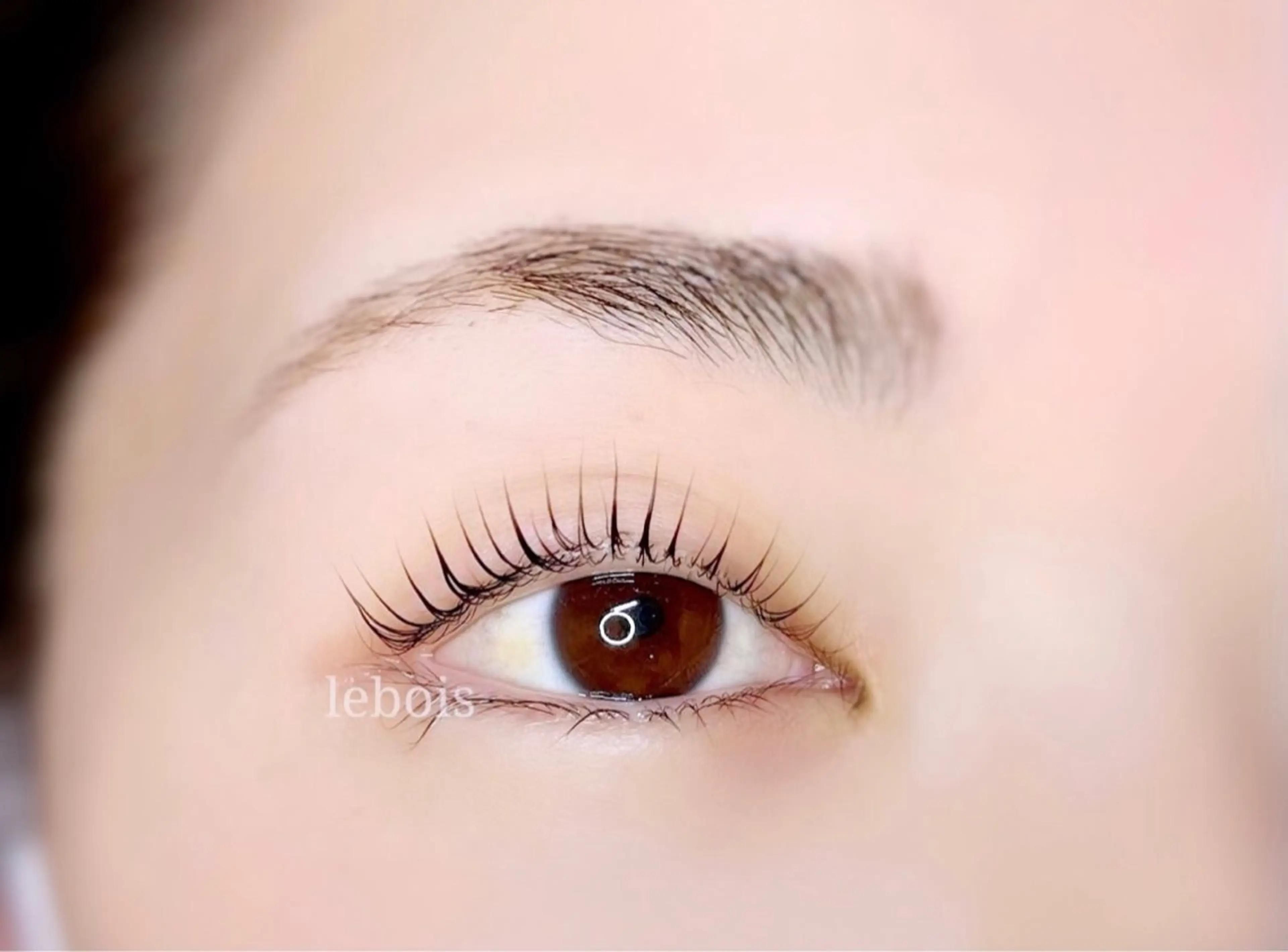 マツエク・マツパ le boisのマツエク・マツパデザイン