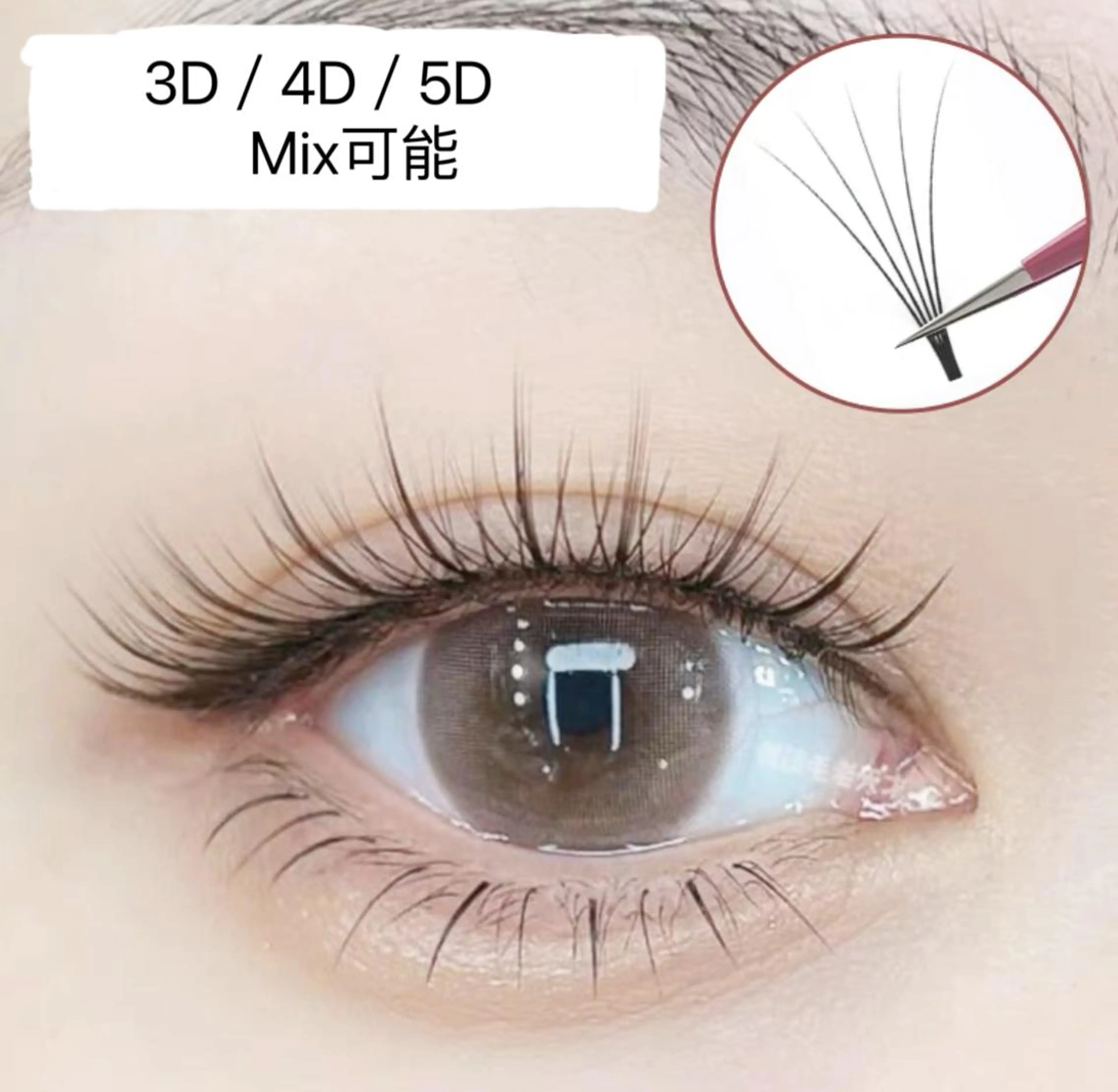 【オフ無料】人気3D/4D/5Dボリュームラッシュ300本¥5980 400本¥6980の写真