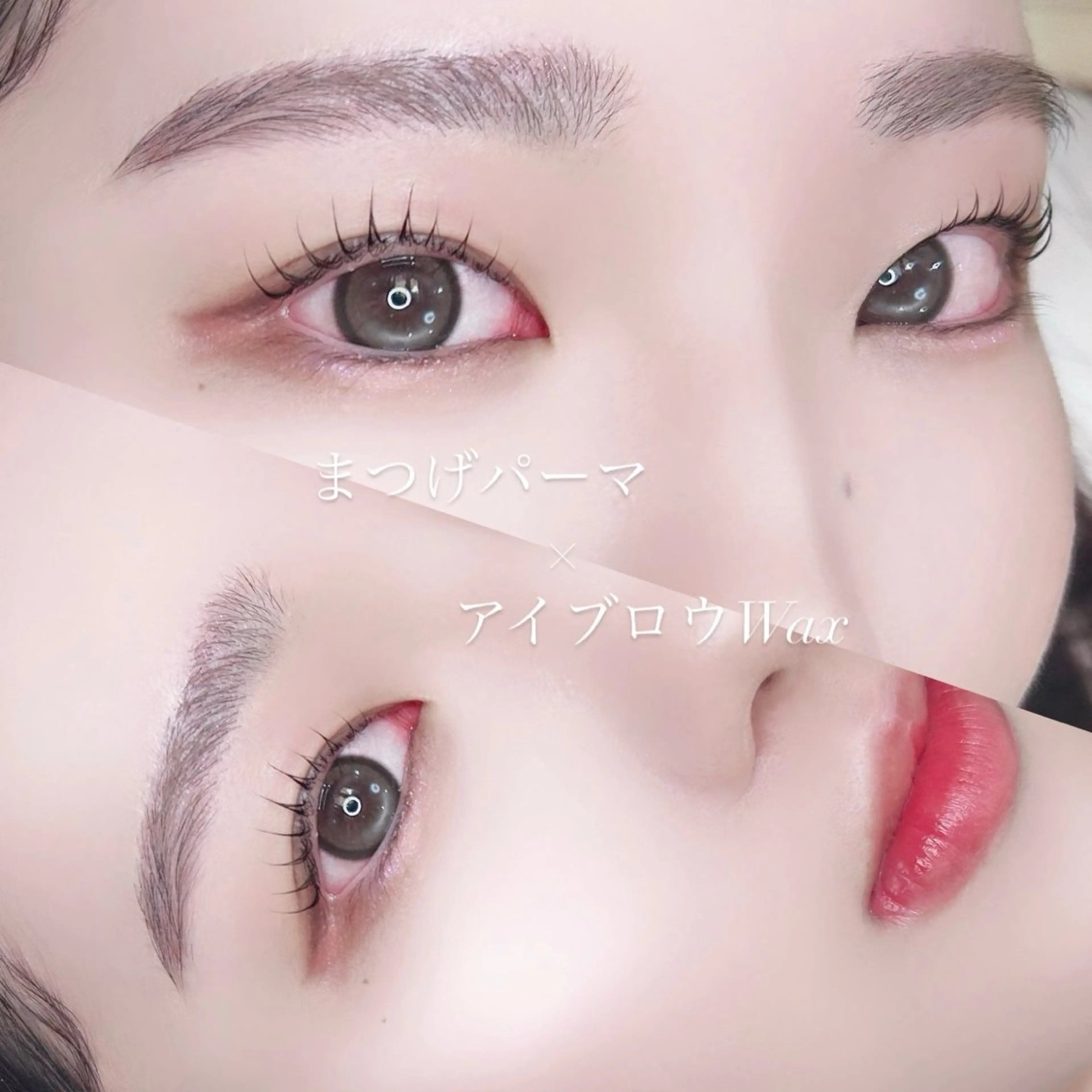 【🪽期間限定🪽】アイブロウWax×まつげパーマの写真