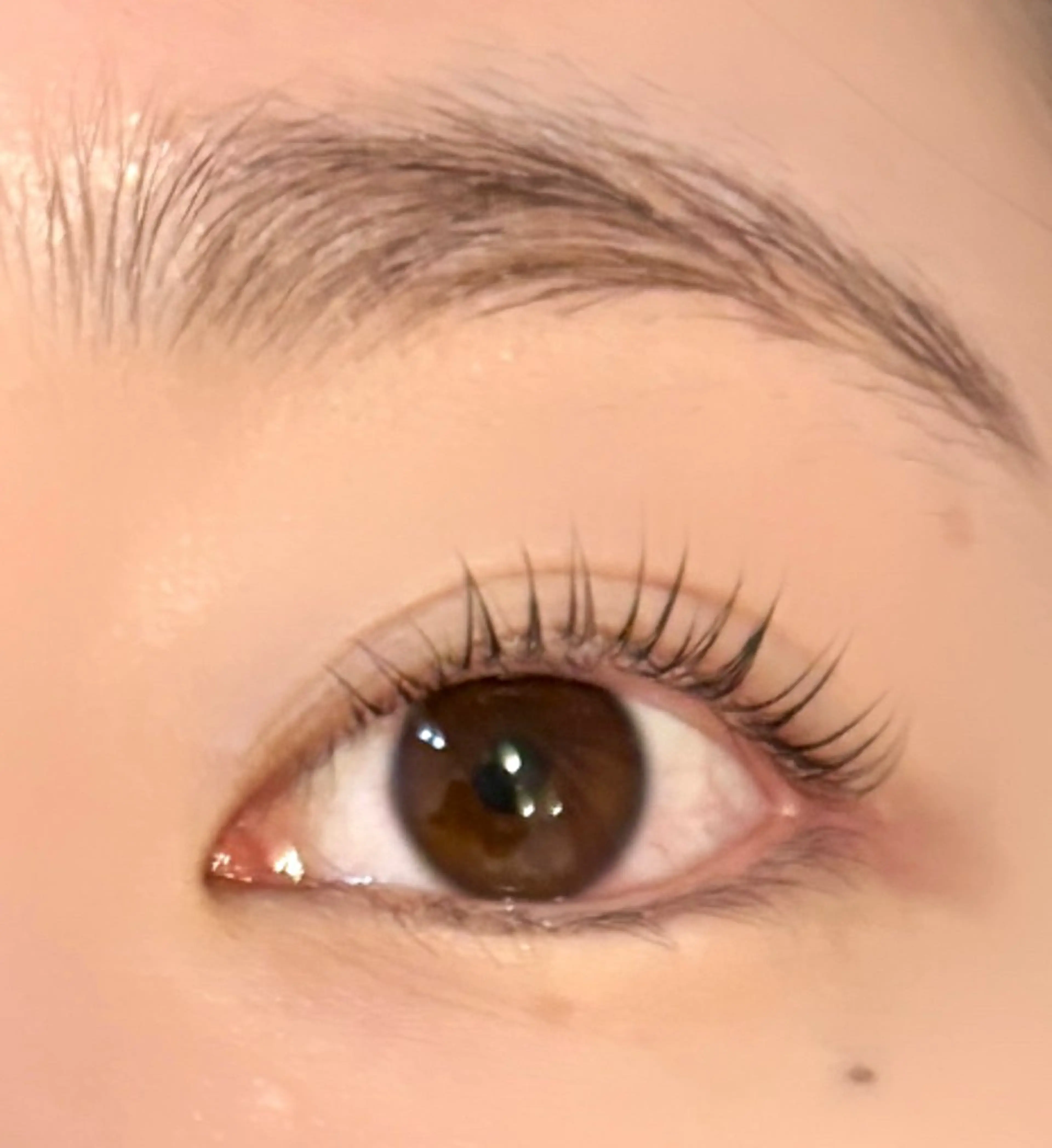 マツエク・マツパ jessica🪽 yoshida🩰のマツエク・マツパデザイン