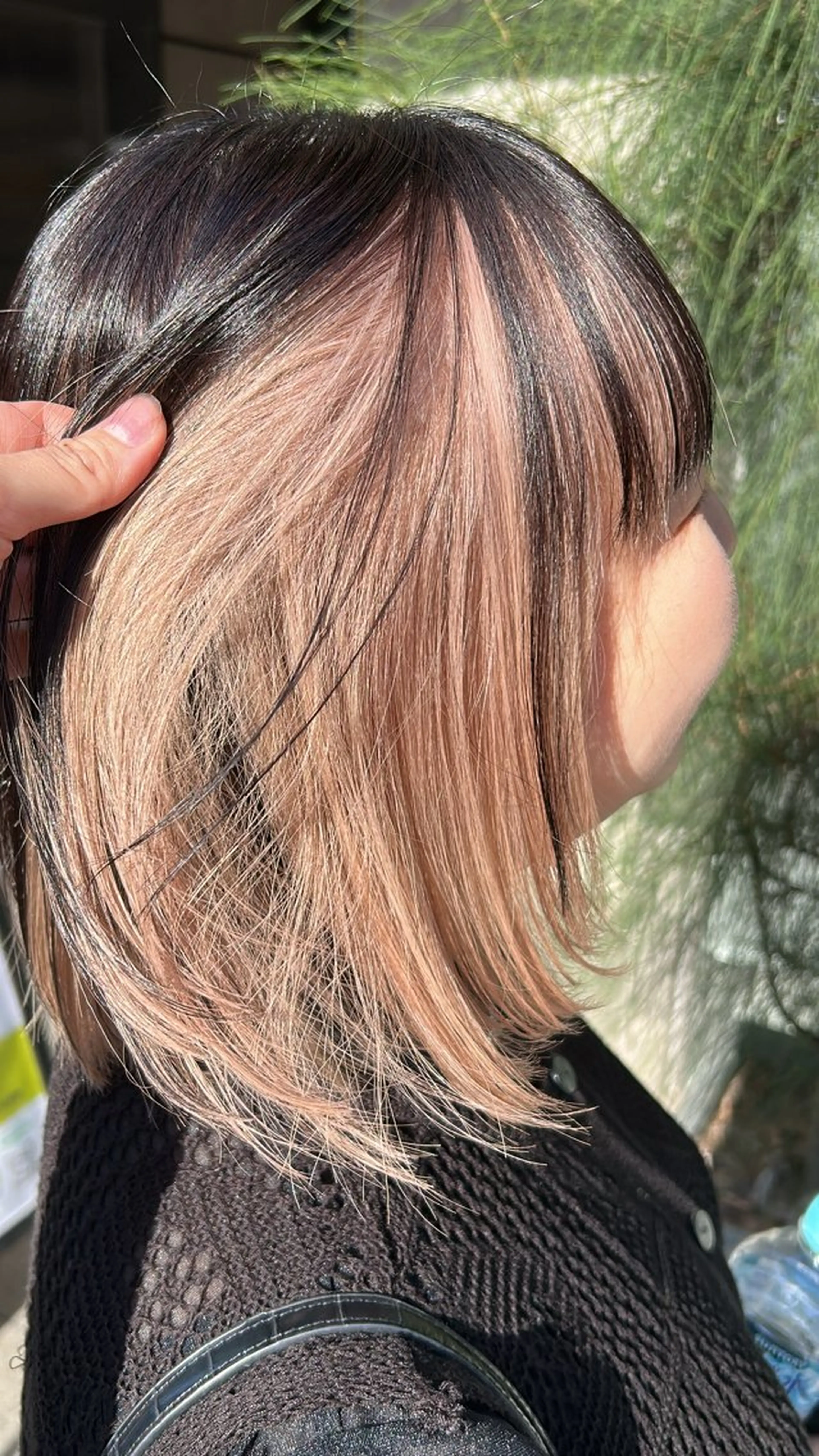 ショート カラー 冬っぽカラー/ マツエク/ゆきなのマツエク・マツパデザイン