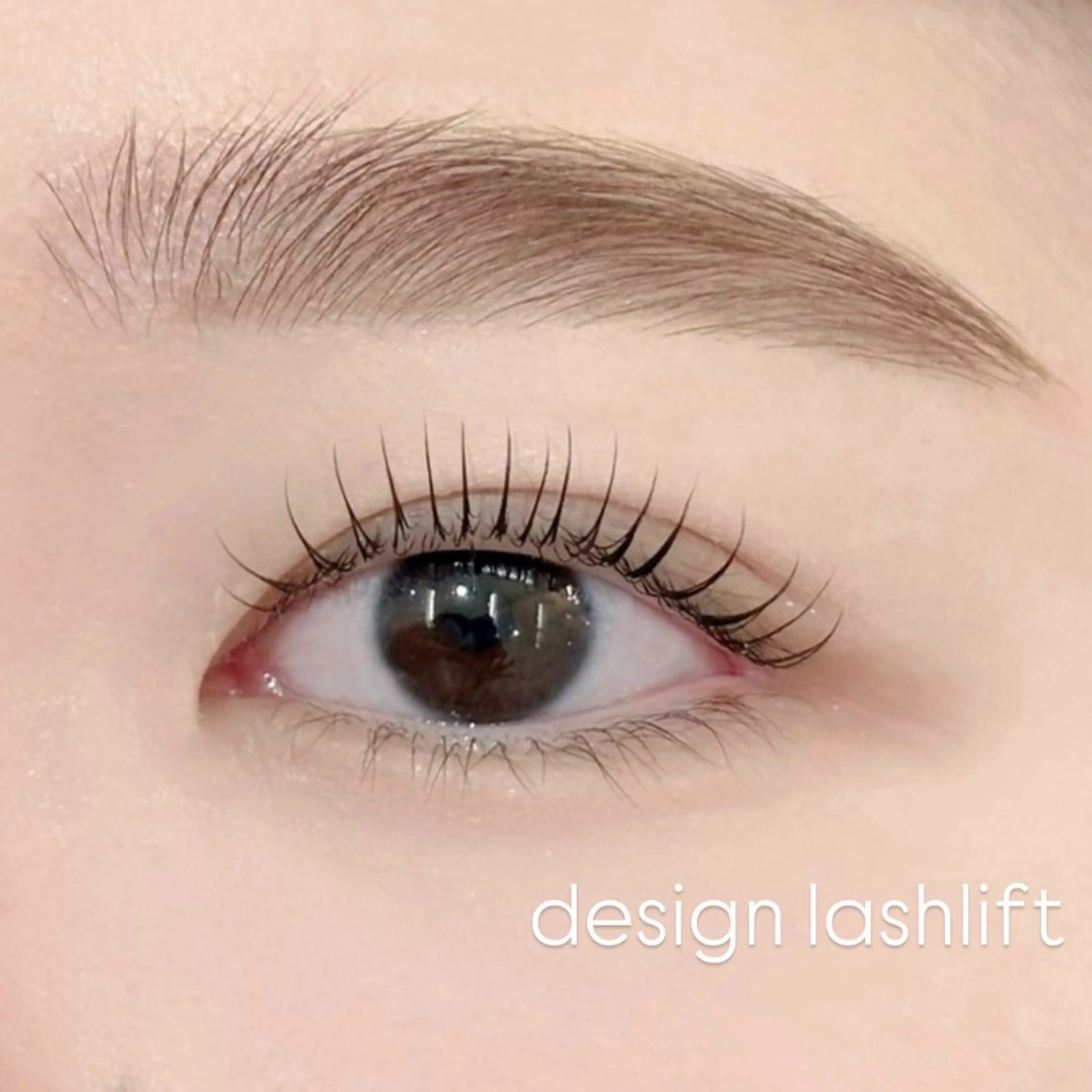 ããŒã ããã ayaka ð ࣪ ðâã®ãããšã¯ã»ããããã¶ã€ã³