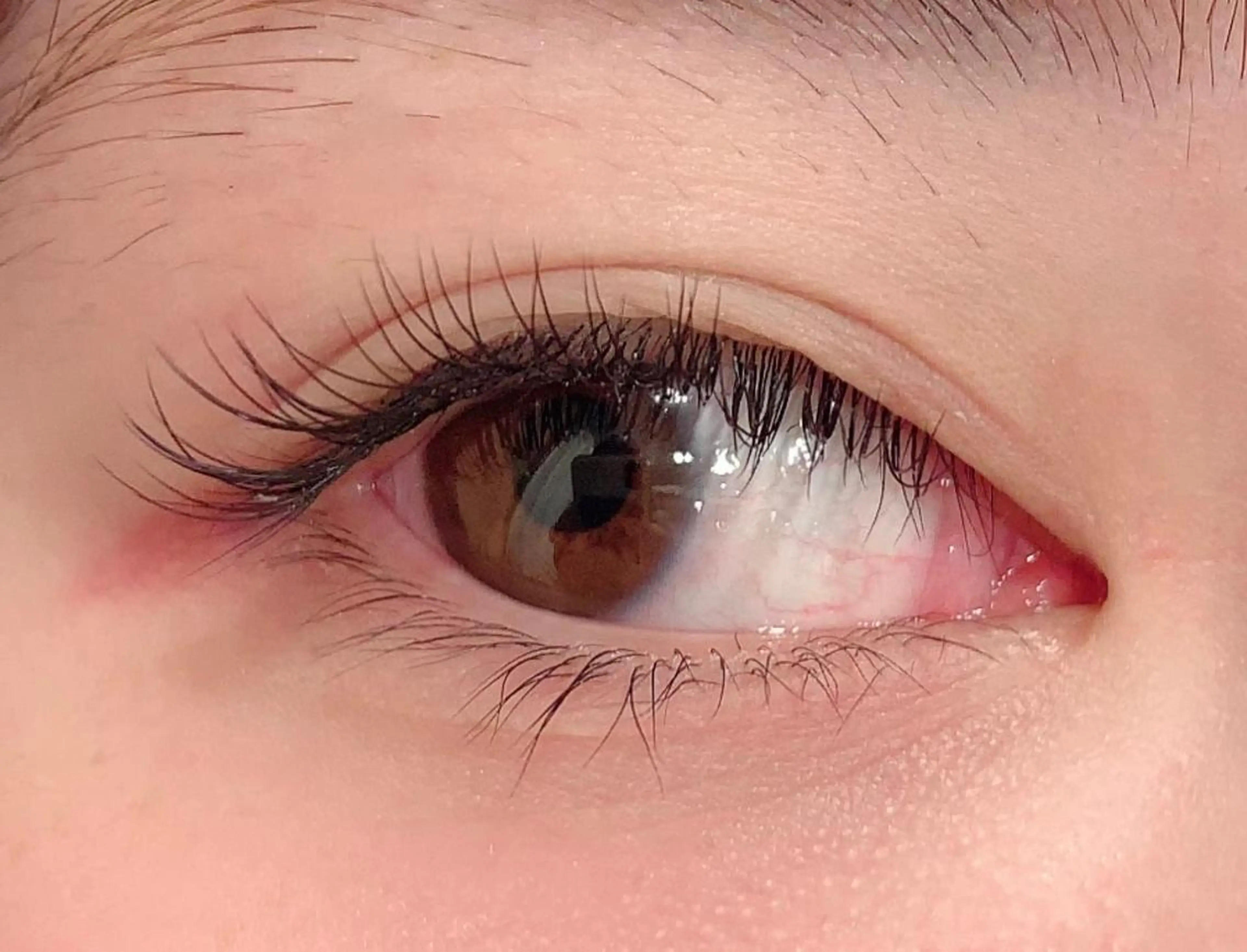 マツエク・マツパ ナチュラル FUKO Hip's eyesのマツエク・マツパデザイン