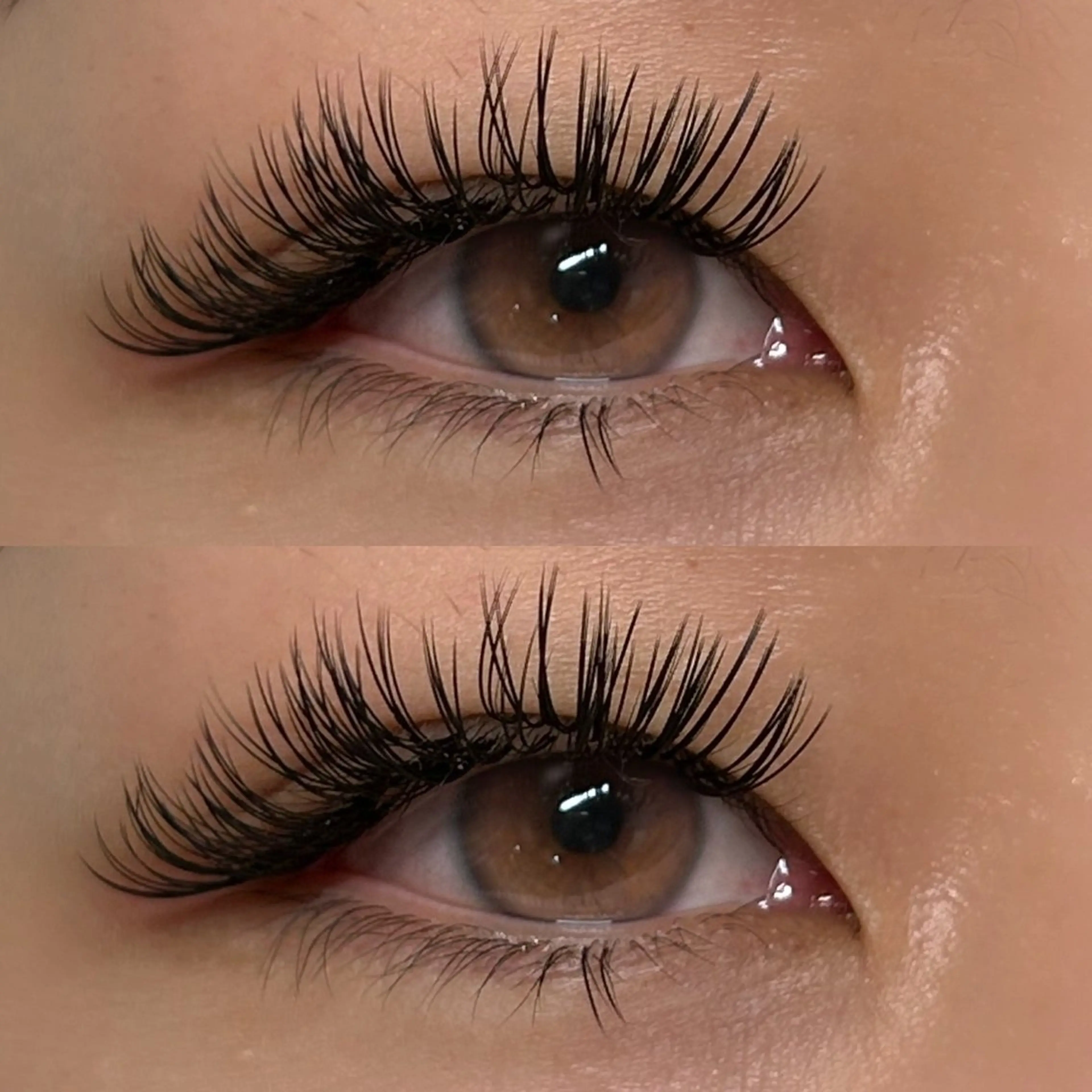 🔥最高の濃さ🔥ダブルフラット🔐バインドロック🔐（120束）の写真