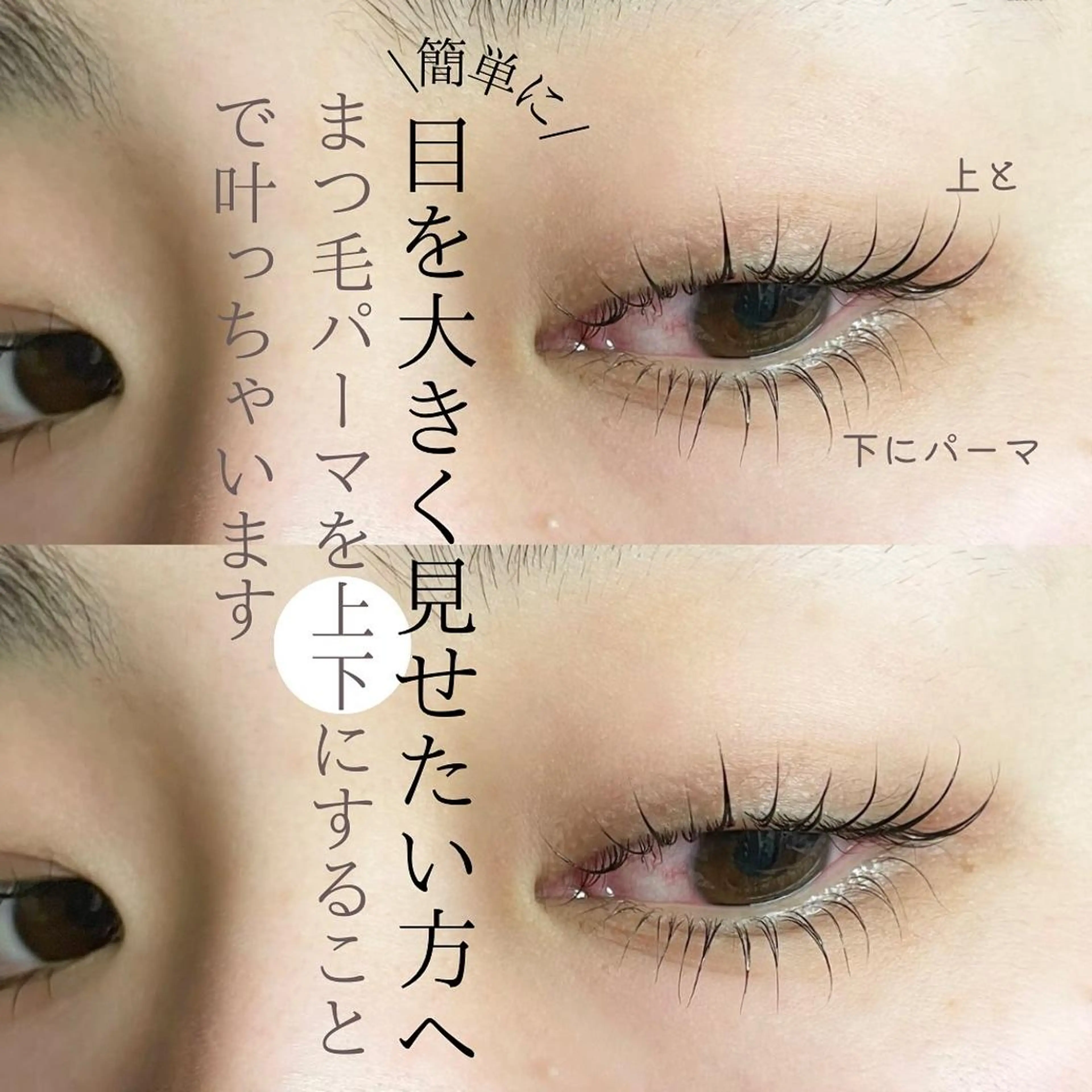 上と下両方したら最強😭🤍/上下まつ毛パーマ¥10000→¥8500/もちろんシャンプー・トリートメント2種類込みの写真